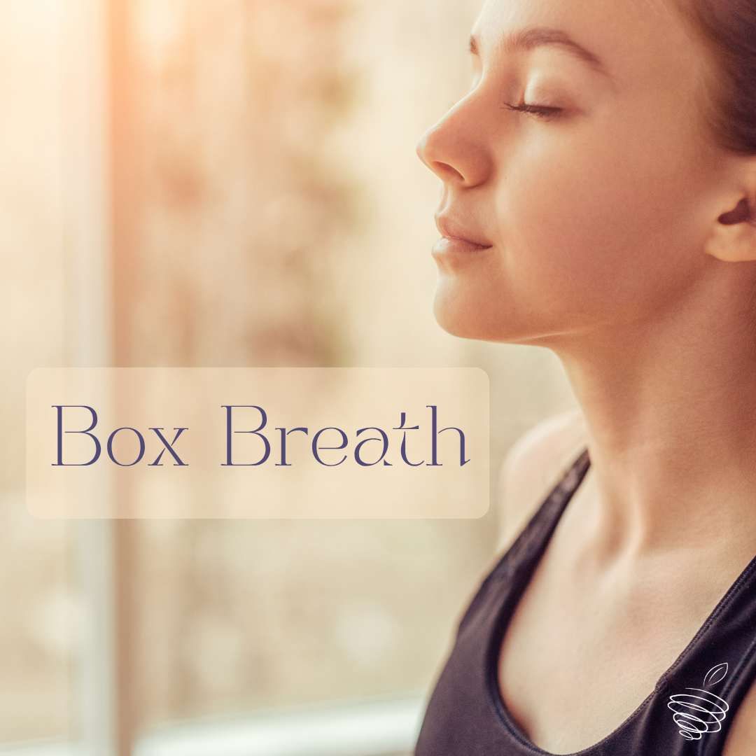 Box Breath: Finding Calm One Breath at a Time