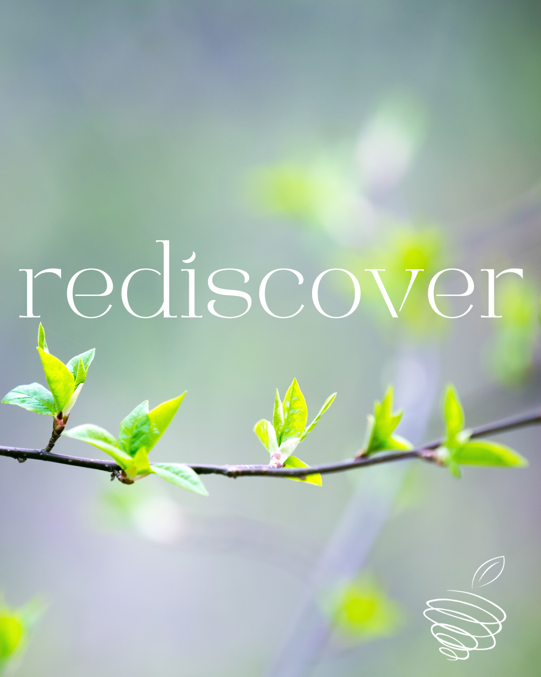 Rediscover — Nourishing Storm