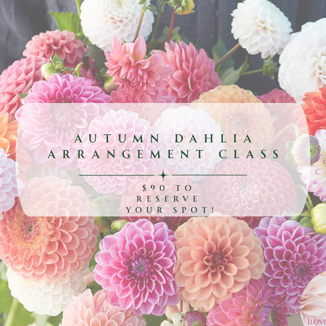 Autumn Dahlia Arrangement Class