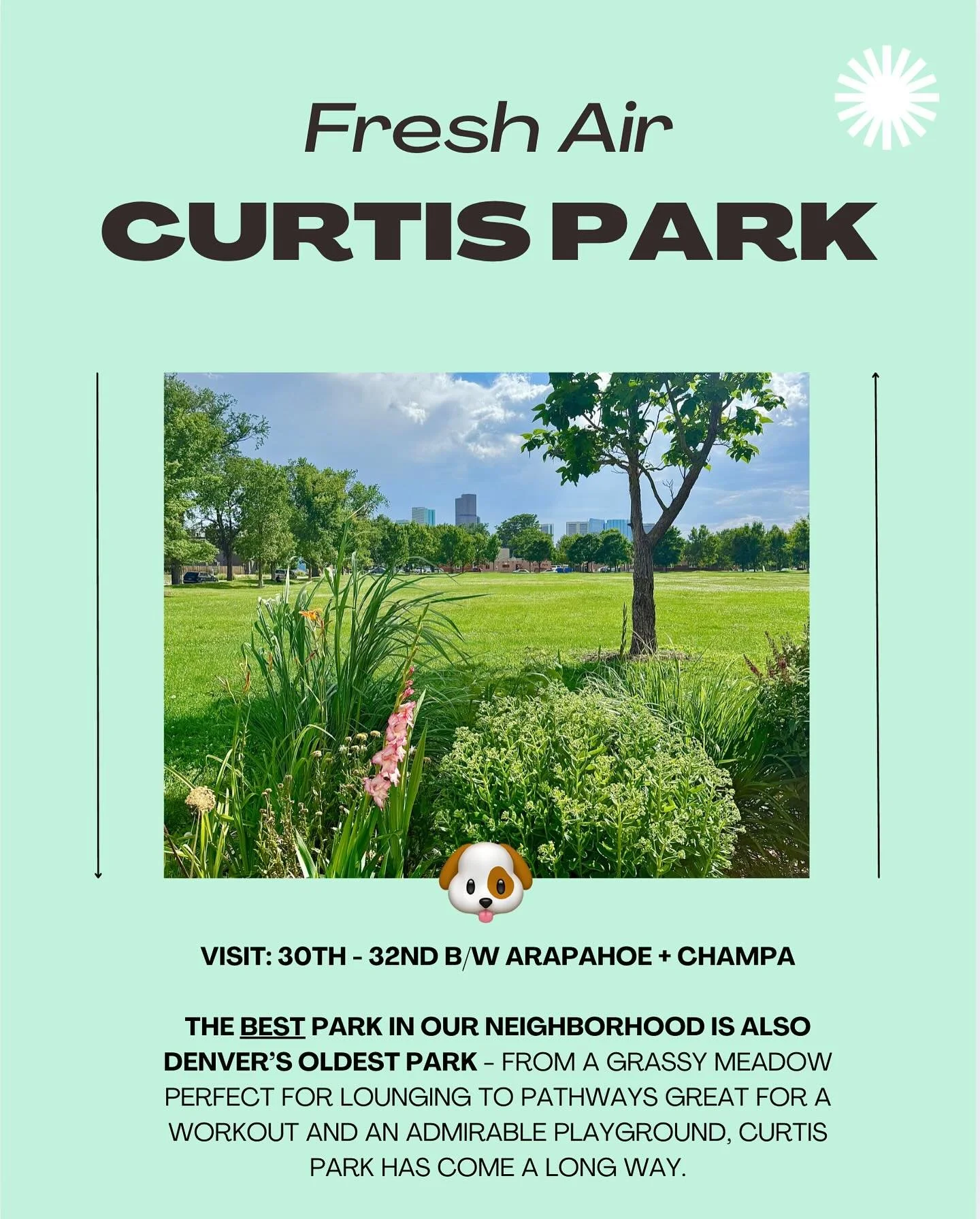 🌳&nbsp;A Love Letter to Curtis Park:&nbsp;We&rsquo;re thankful for the transformation this park has had these last 5 years. With ~23K visitors/year, and as the only proper park in the area, the beautification effort has really paid off. 🐝 Freshly p