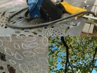 Nearly there…wattle, poppies done and now hundreds of elm leaves to cut just as the real ones are starting to flower