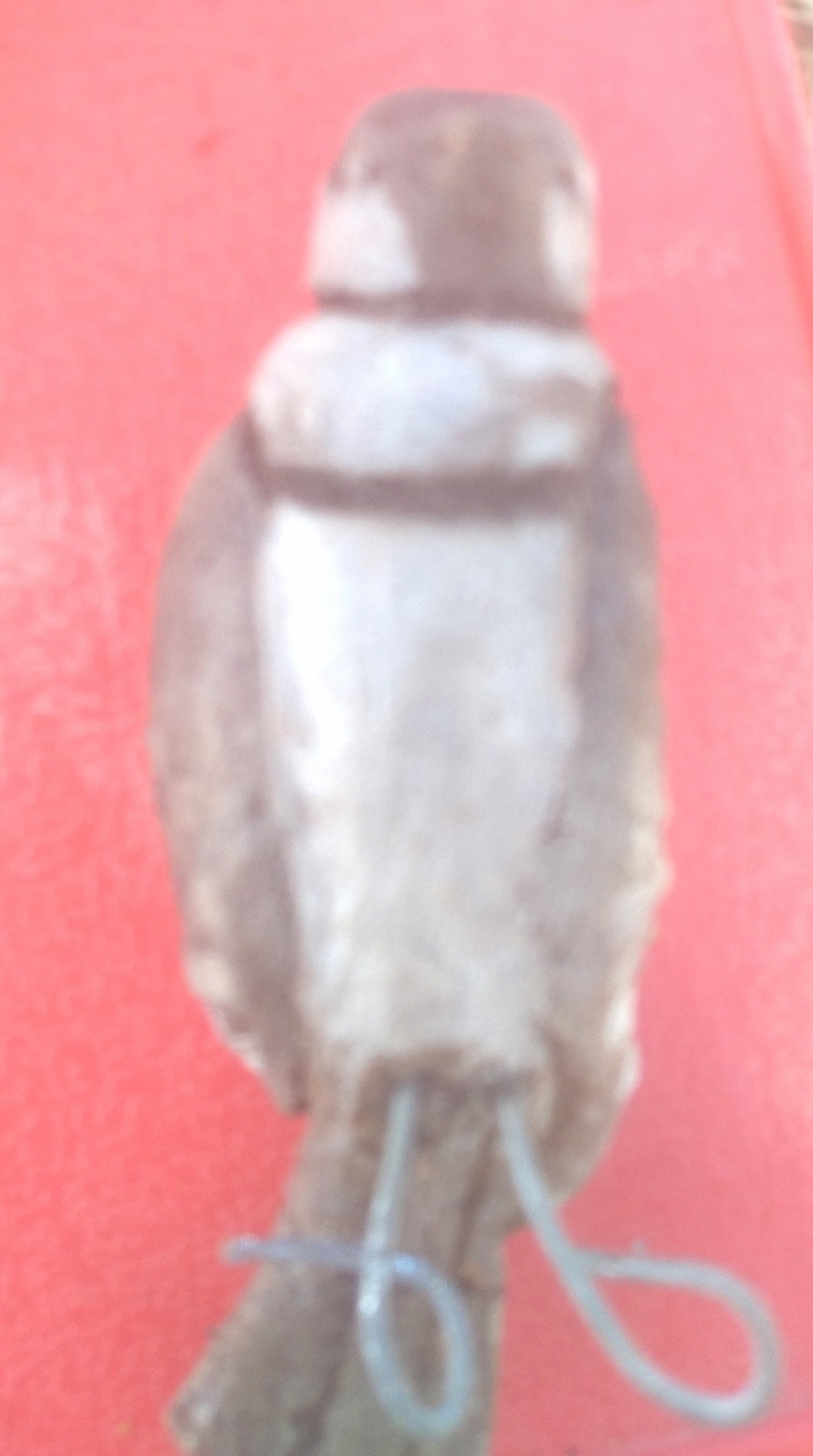 20220222_152039.jpg