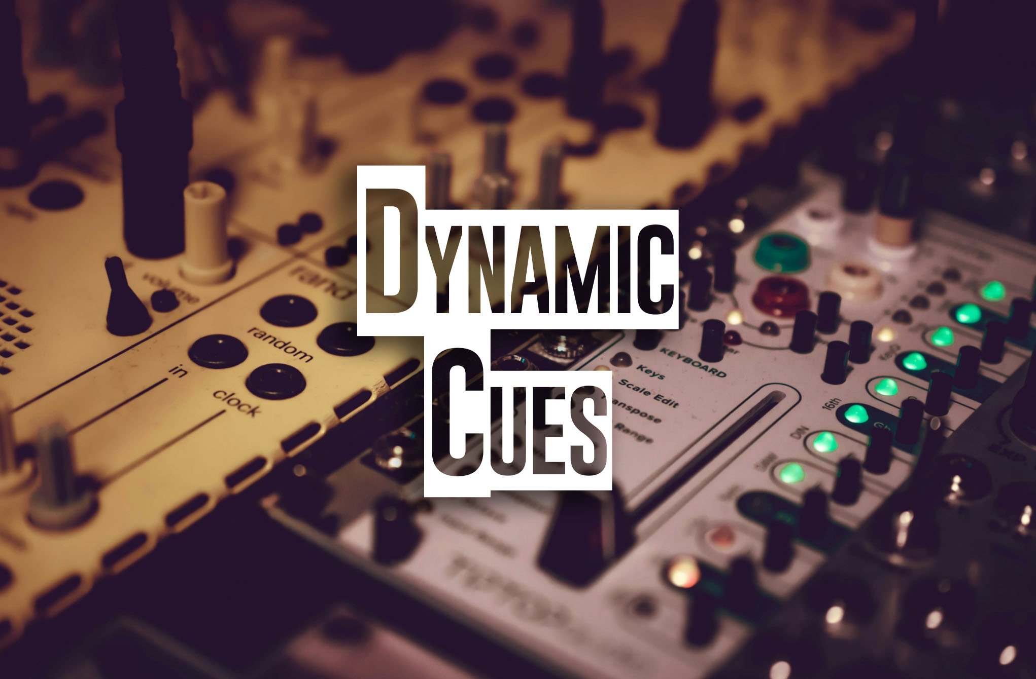 Dynamic Cues - w: Title.jpg