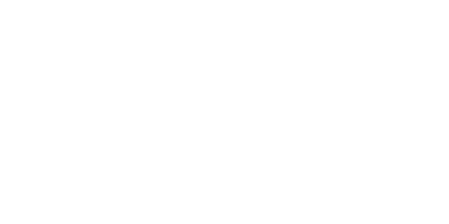 wish interactive client logo for voice actress.png