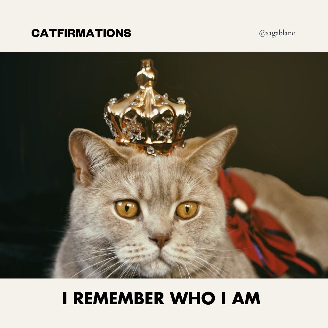 CATFIRMATIONS

#affirmations