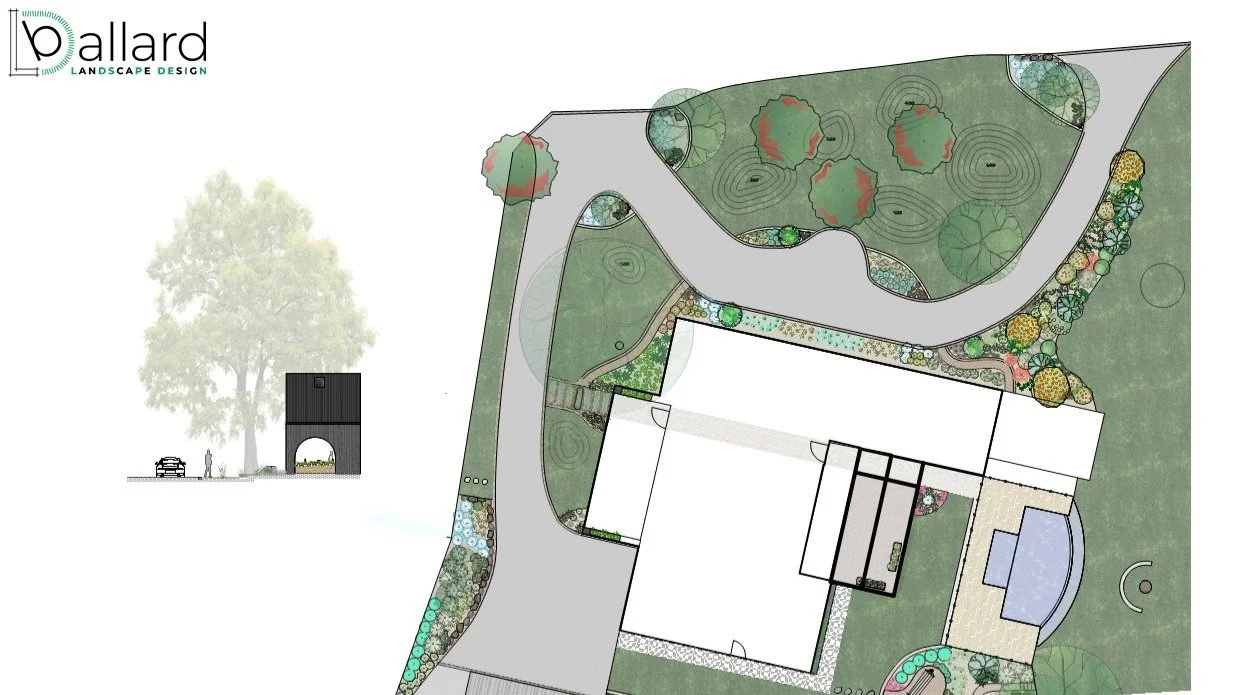 Latest drawing for Hoddles Creek where we have a new home build with semi landscaping complete. The brief: make it look pretty and add some interest. Water, grass mounds, oversized sawn rock (the house is BIG) and of course our old friend.. sh!t load