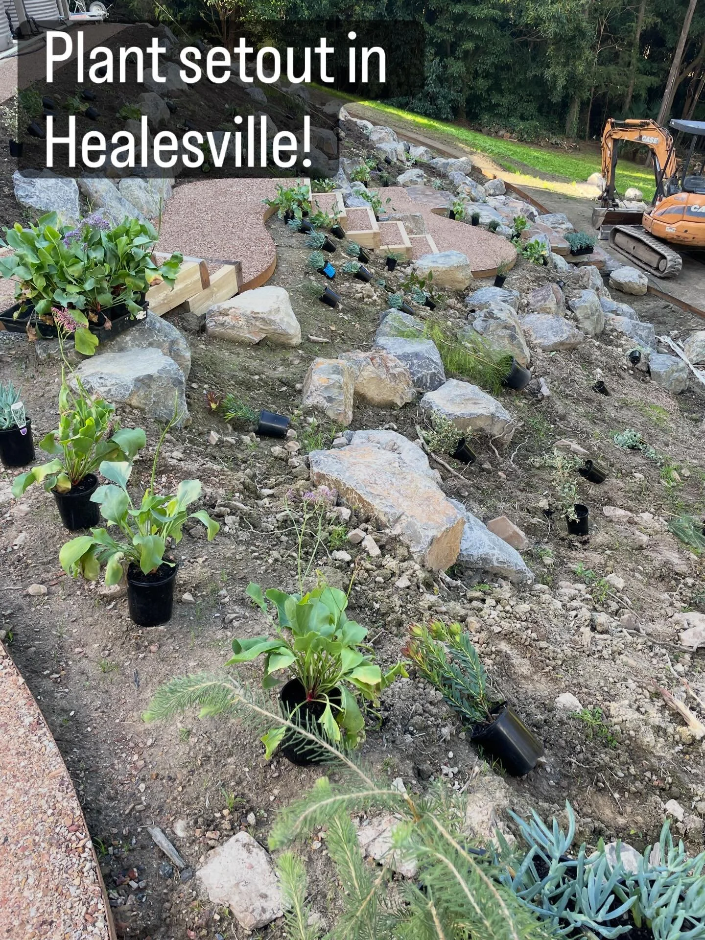 Exciting times! With works nearing completion, plants arrived today at our very steep Healesville project. Over 500 plants, a mix of exotic, native and indigenous species. Further updates to follow including the custom steel platforms which arrived t