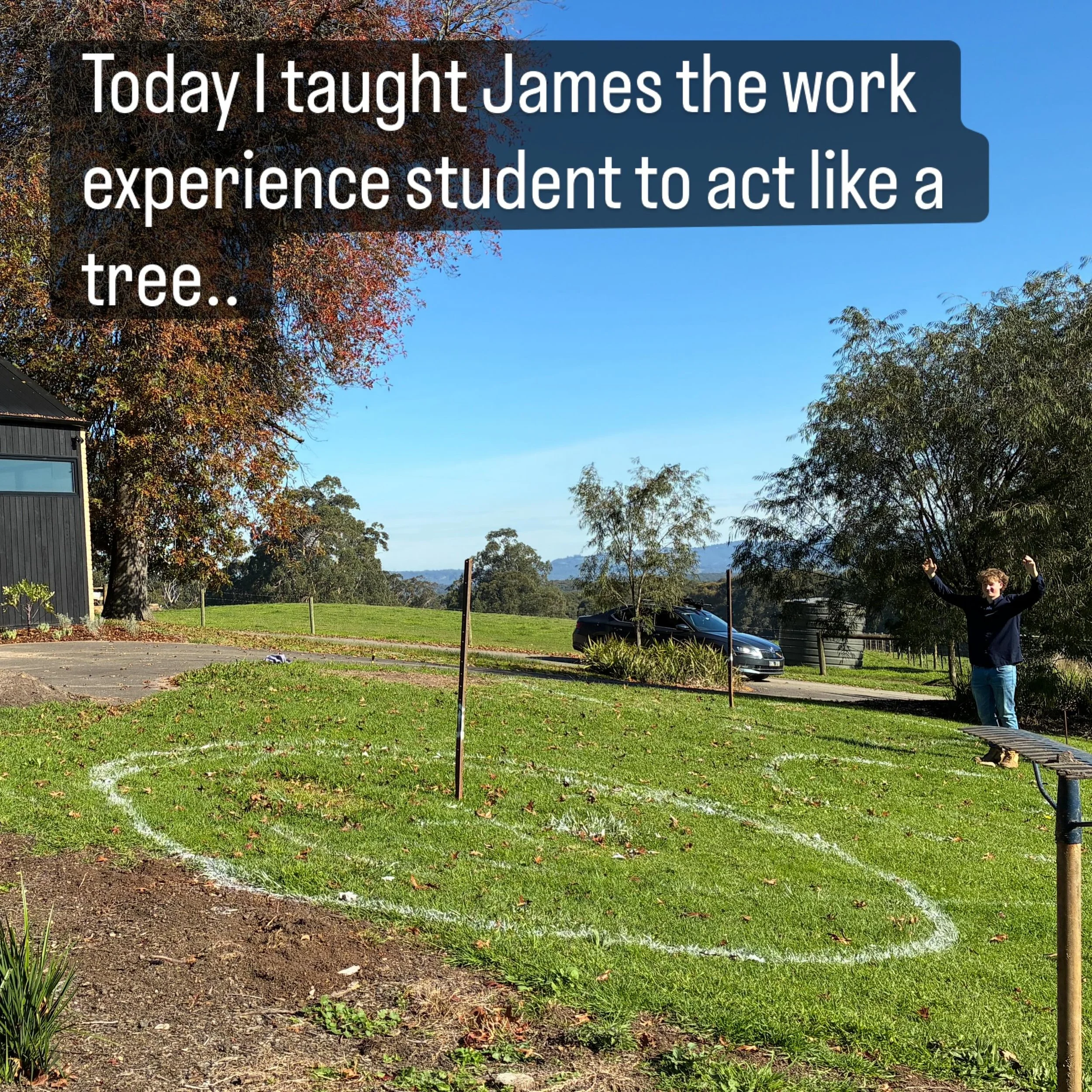 Great to have a helping hand the last couple of days with plenty of site visits. Combined with a few days @alowyngardens James has had a great introduction to horticulture and landscape!
.
.
#plantdesign #workexperience #landscapedesign #yarravalley
