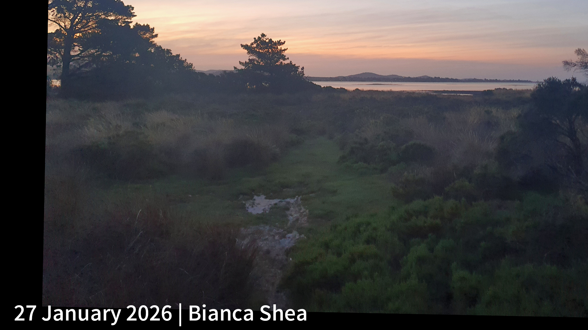 27 January 2026 _ Bianca Shea.png
