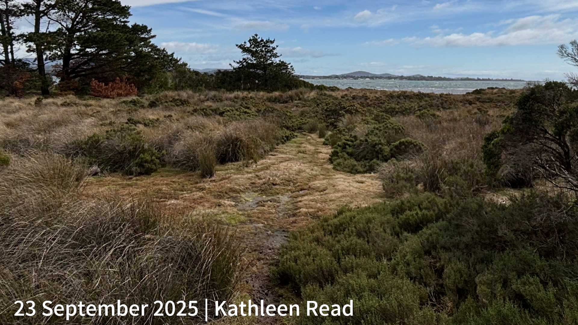 23 September 2025 _ Kathleen Read.png
