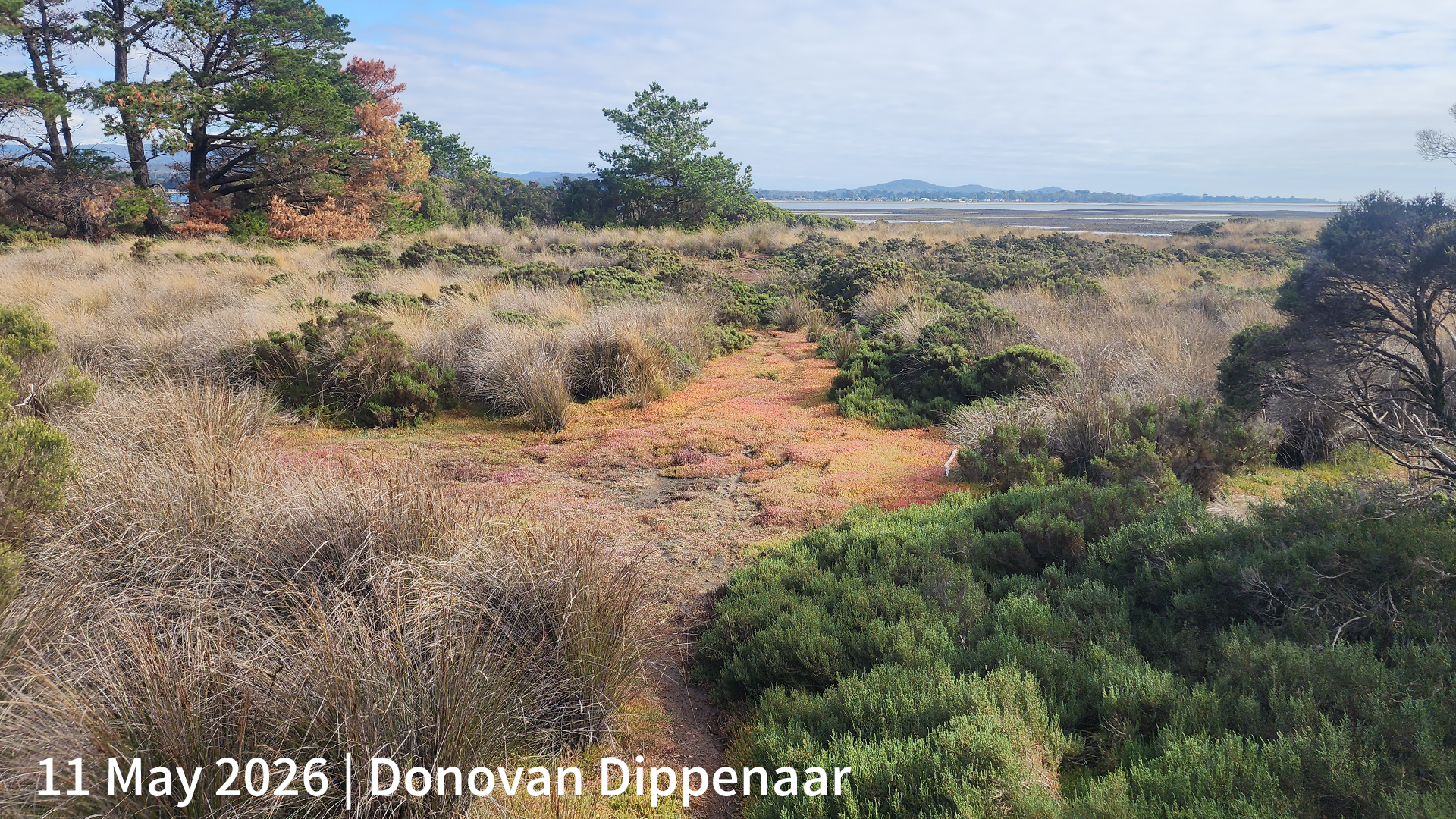 11 May 2026 _ Donovan Dippenaar.png