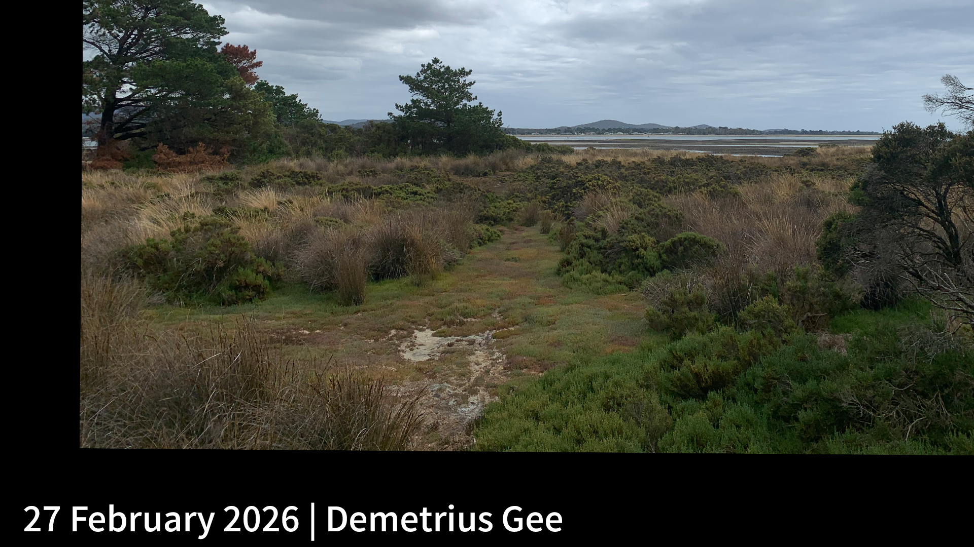 27 February 2026 _ Demetrius Gee.png