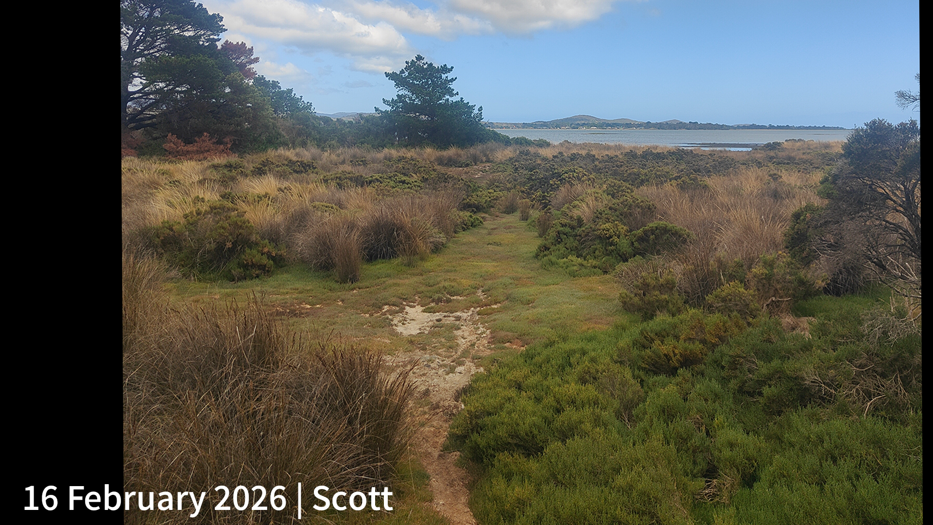 16 February 2026 _ Scott.png