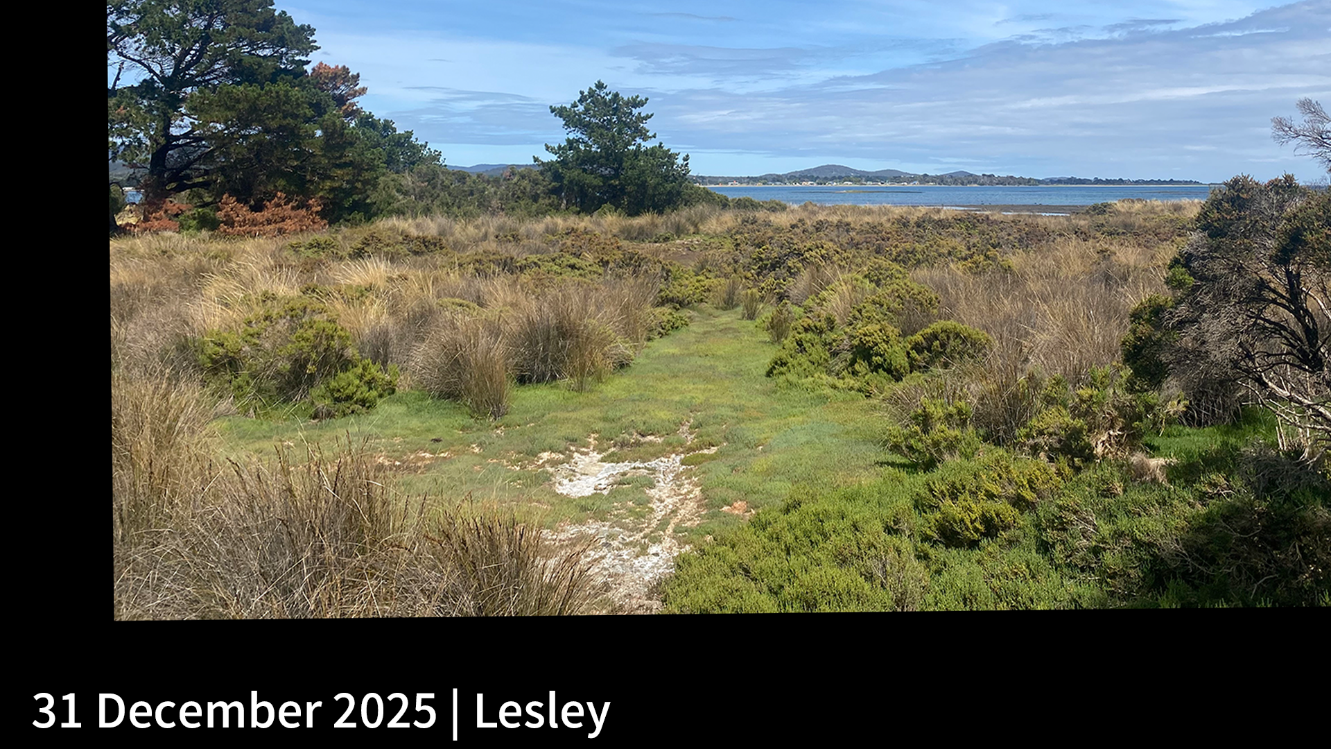 31 December 2025 _ Lesley.png