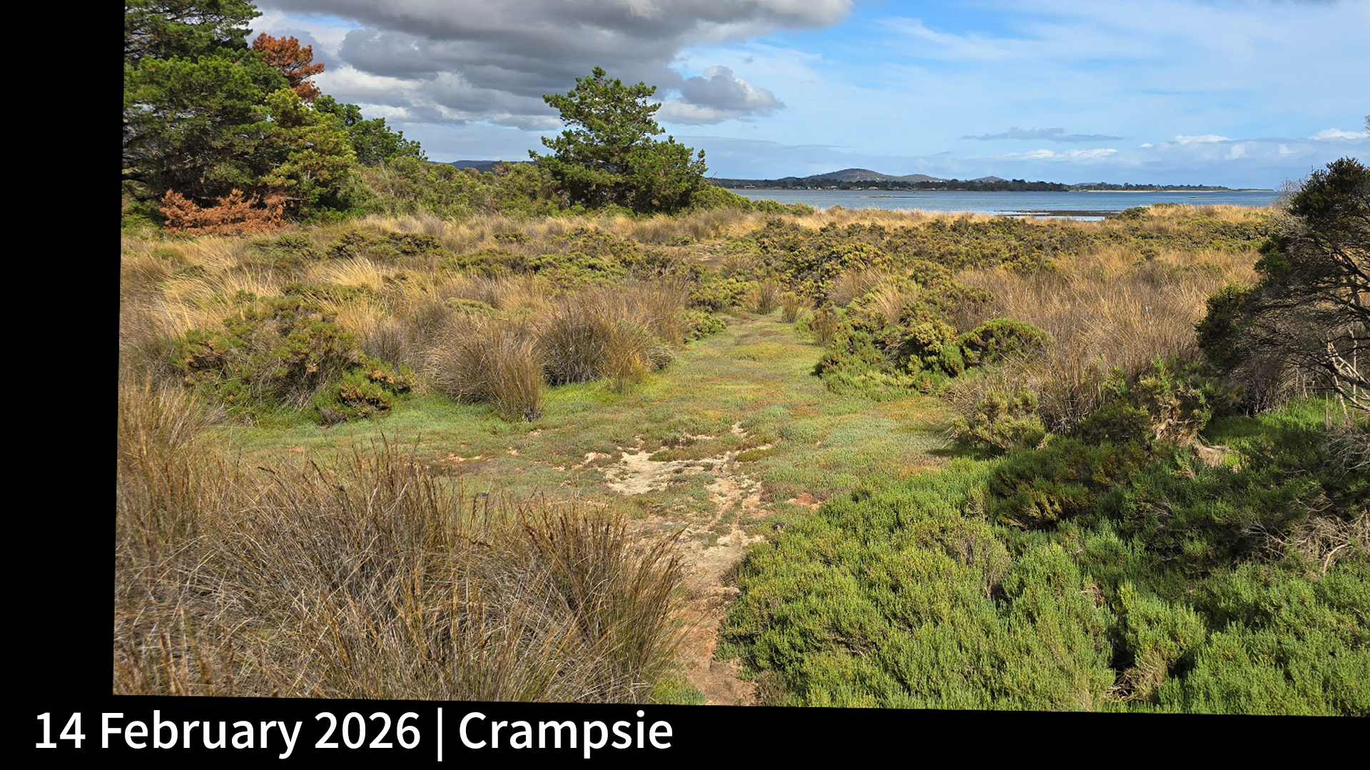 14 February 2026 _ Crampsie.png