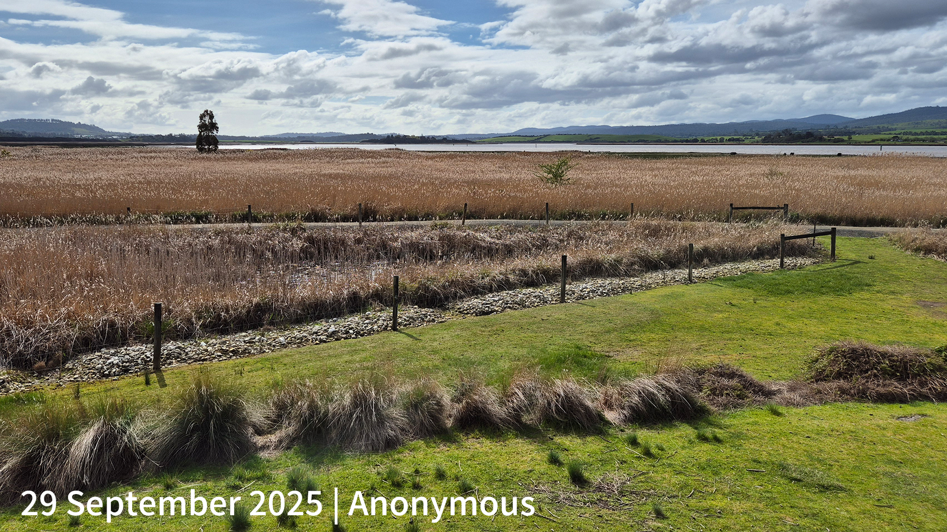 29 September 2025 _ Anonymous_.png
