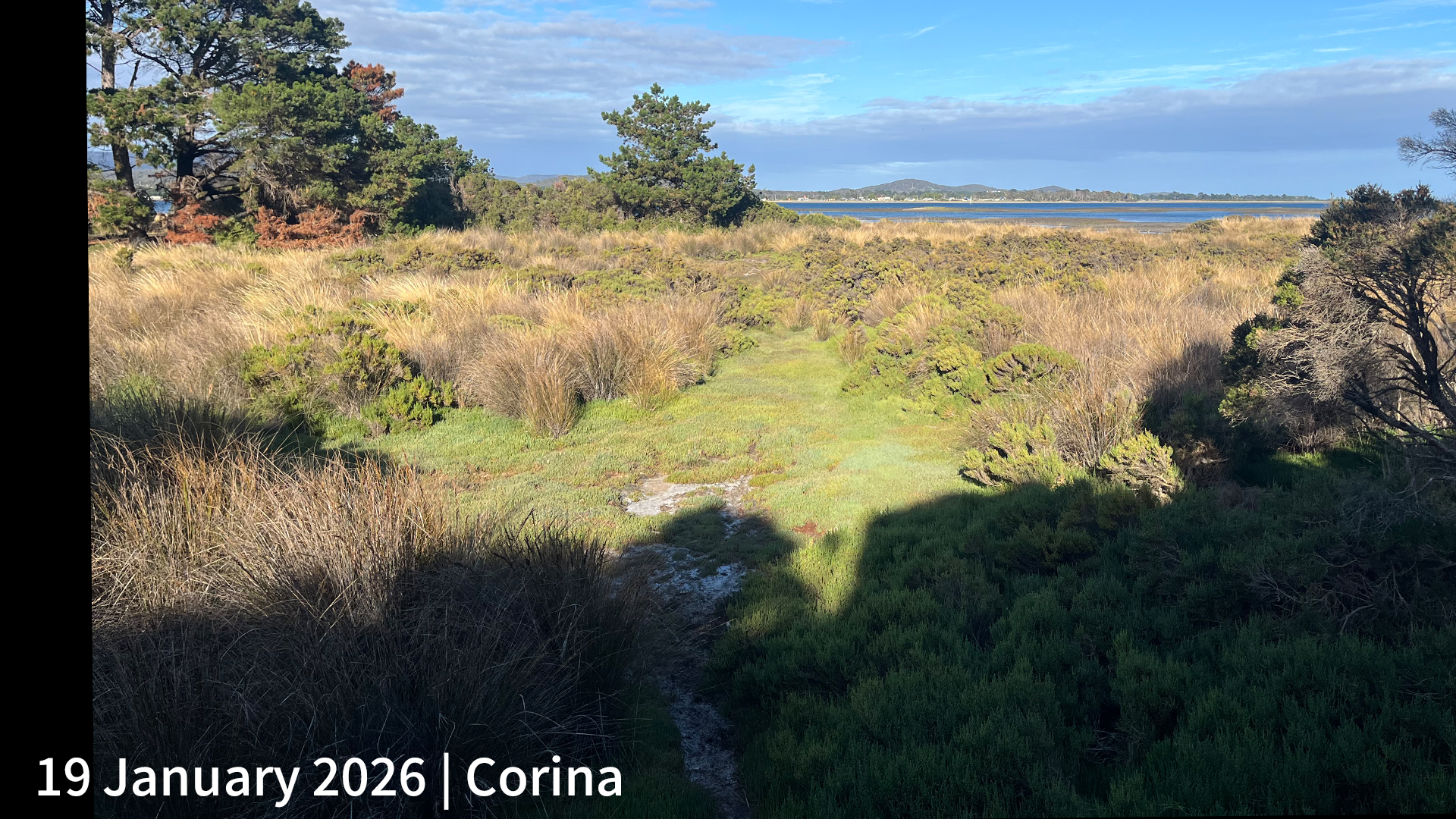19 January 2026 _ Corina.png
