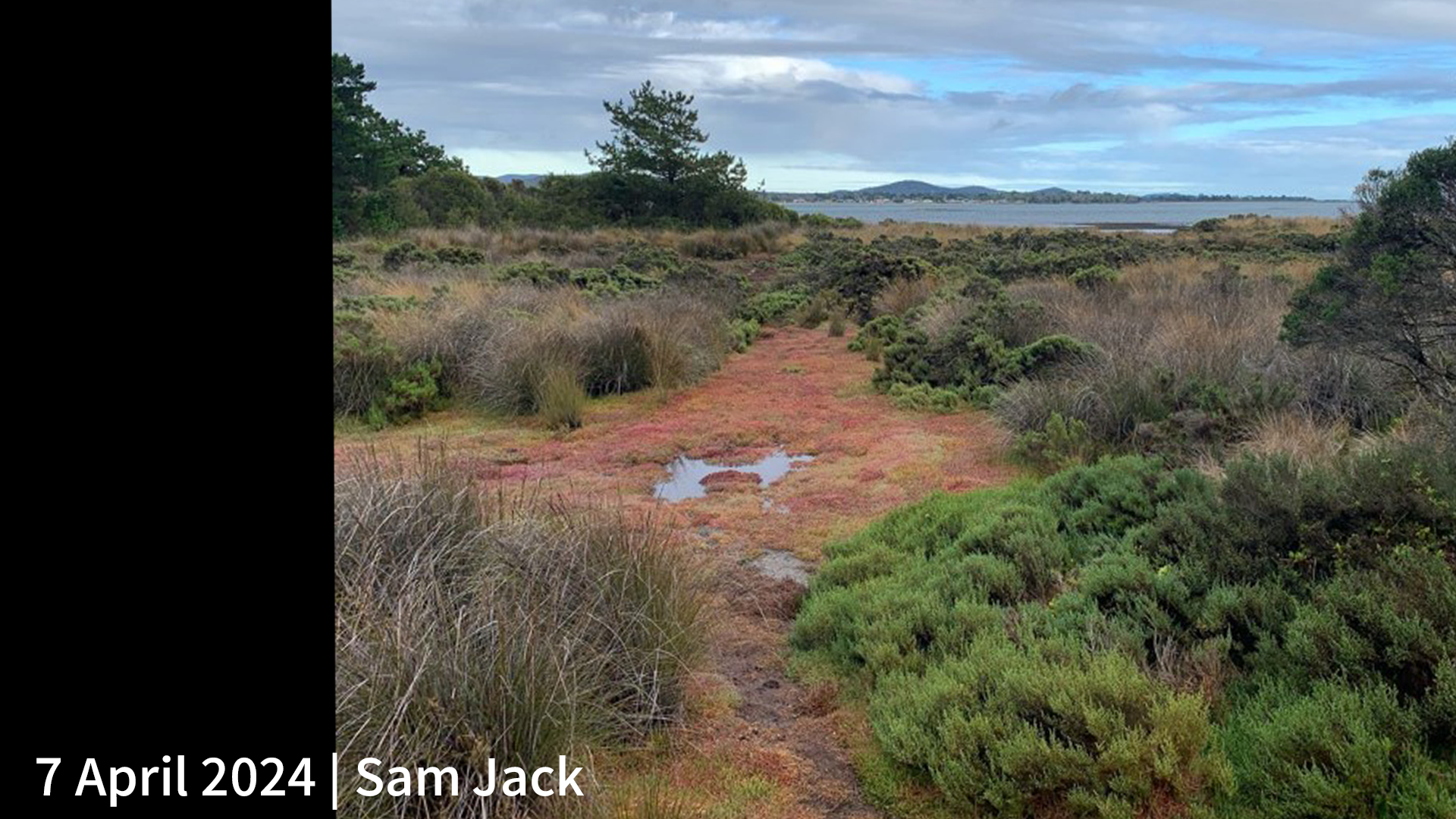 7 April 2024 _ Sam Jack.png