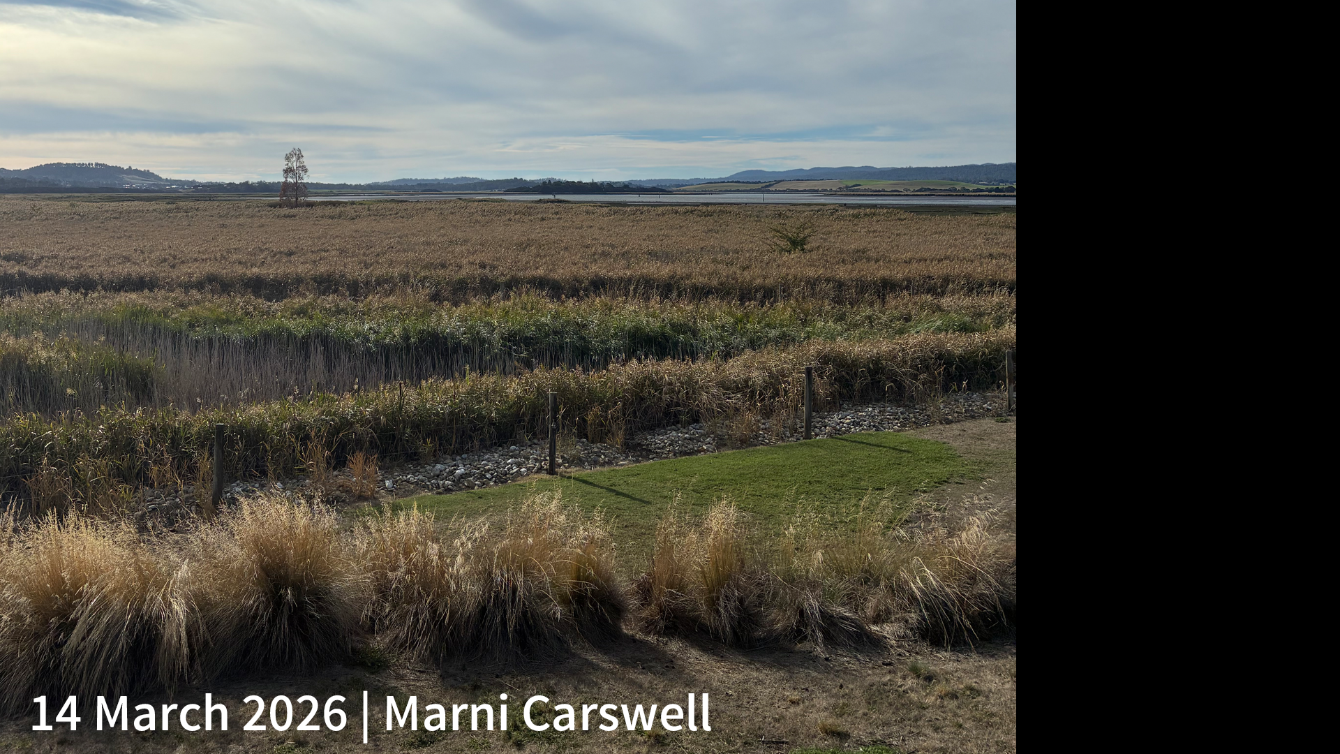 14 March 2026 _ Marni Carswell_.png