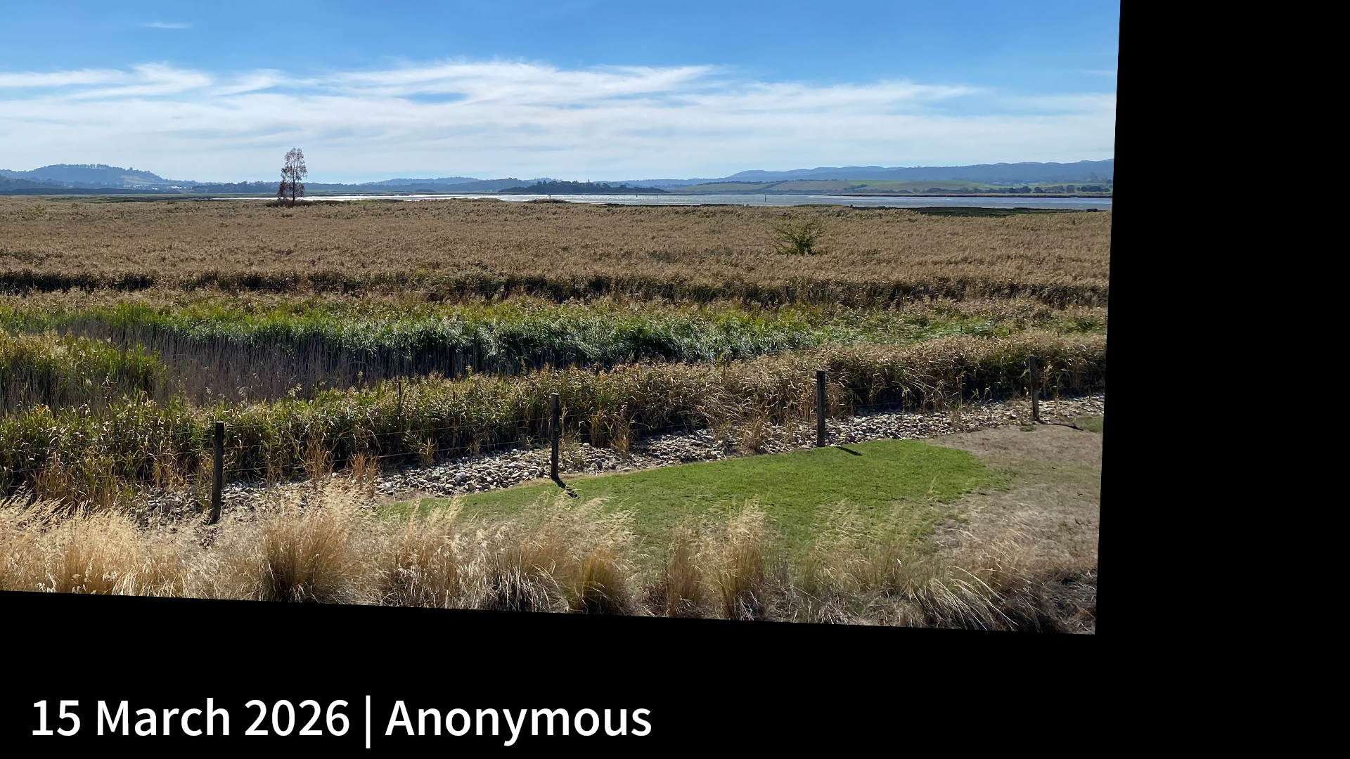 15 March 2026 _ Anonymous_.png