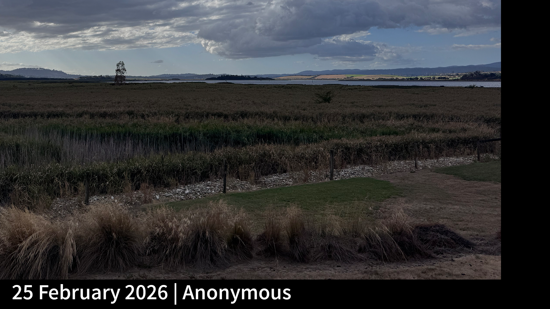 25 February 2026 _ Anonymous_.png