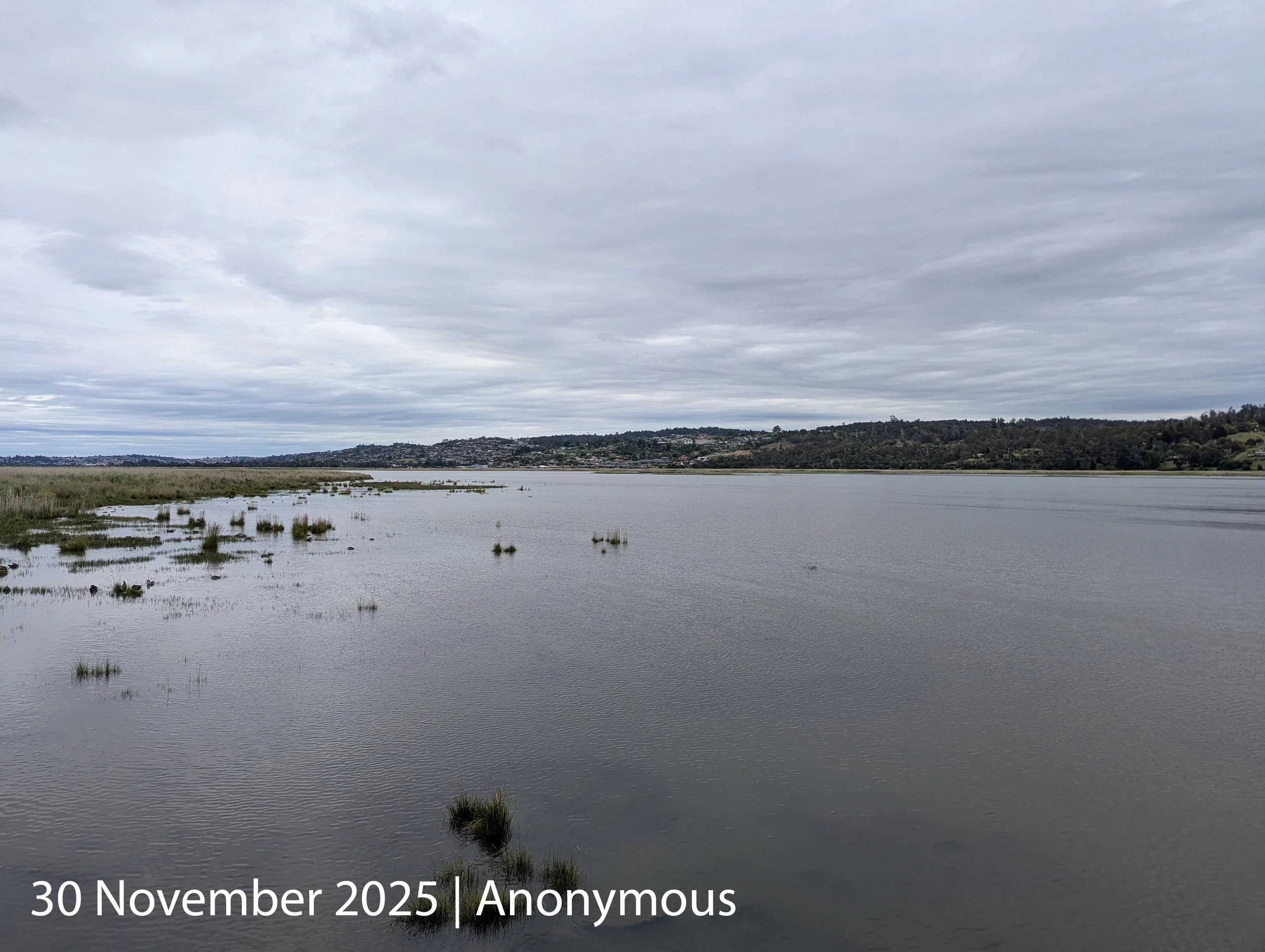 PXL_20251129_225735196_captioned.jpg