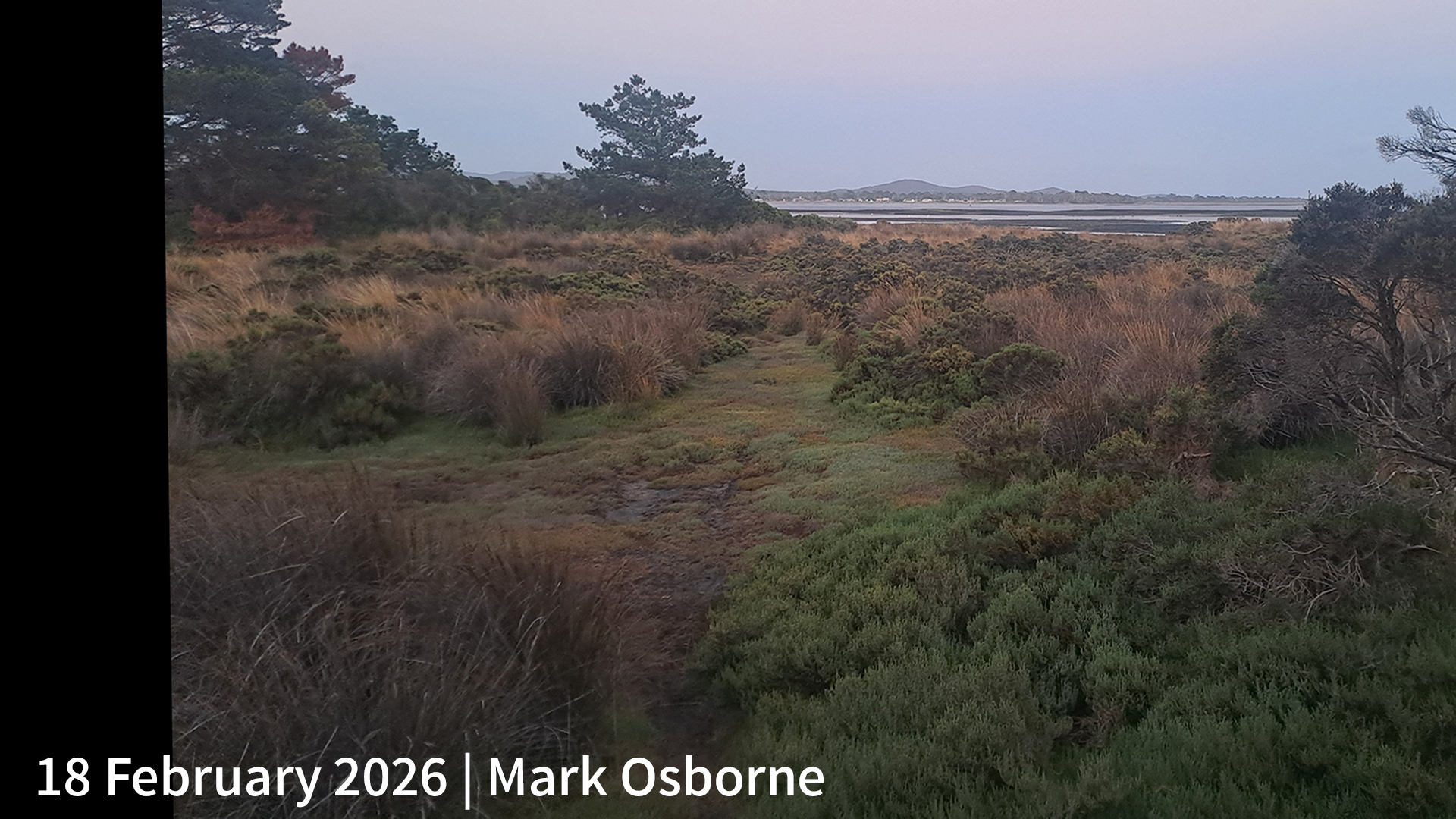 18 February 2026 _ Mark Osborne.png
