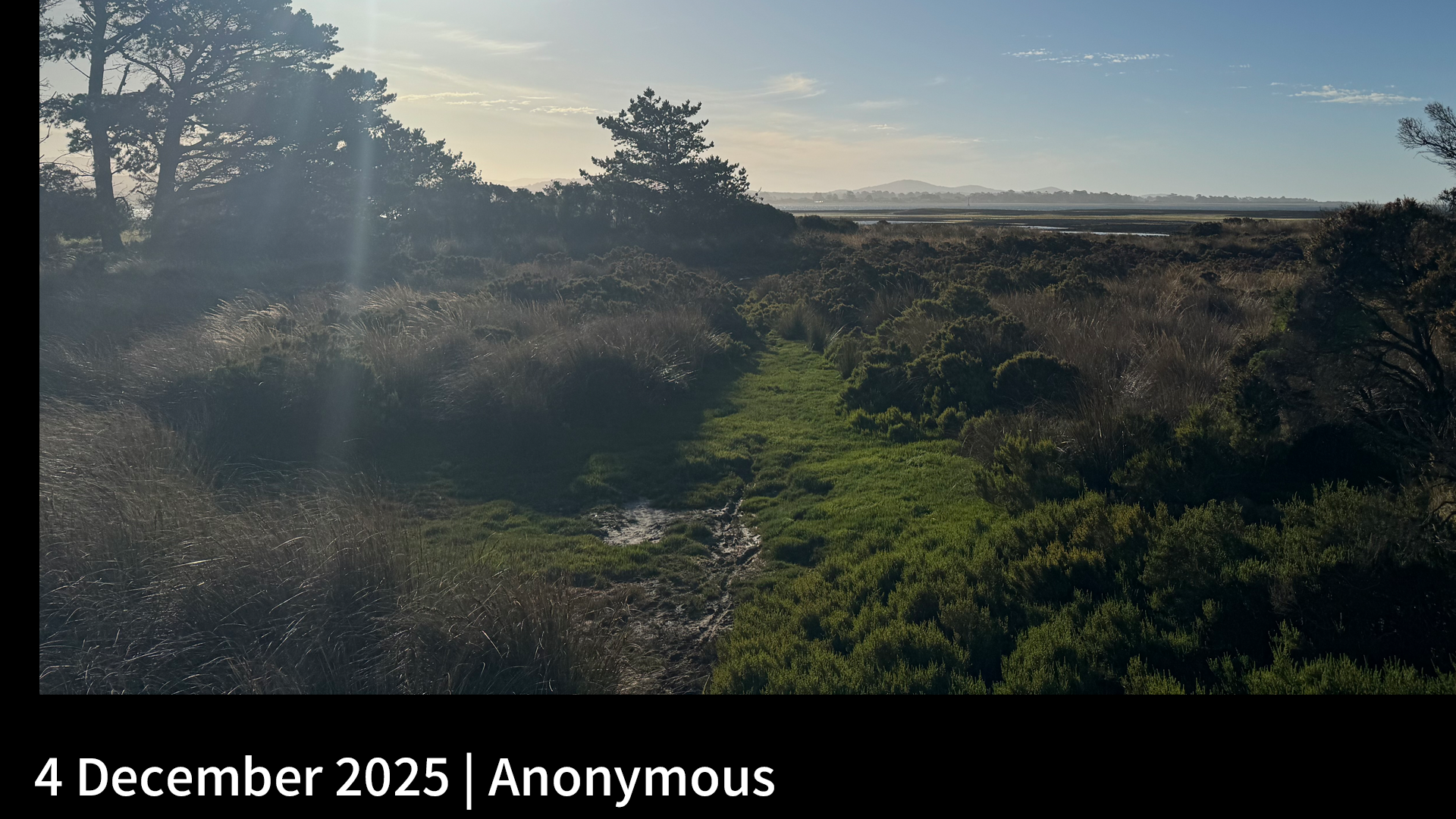 4 December 2025 _ Anonymous.png