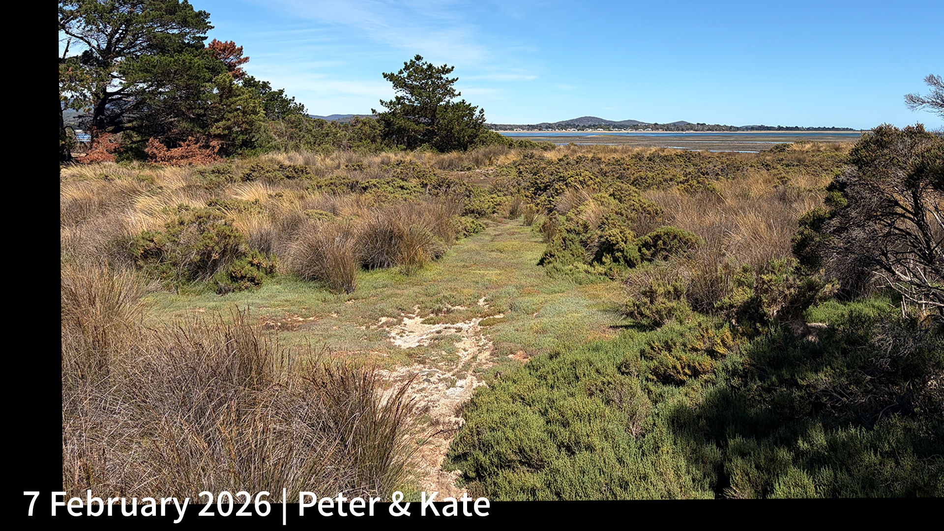 7 February 2026 _ Peter & Kate.png