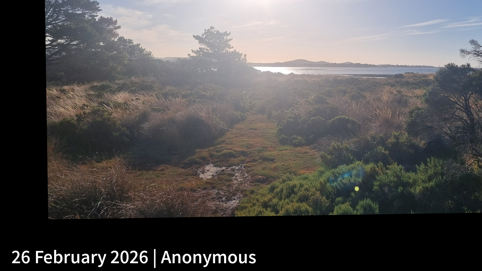 26 February 2026 _ Anonymous.png