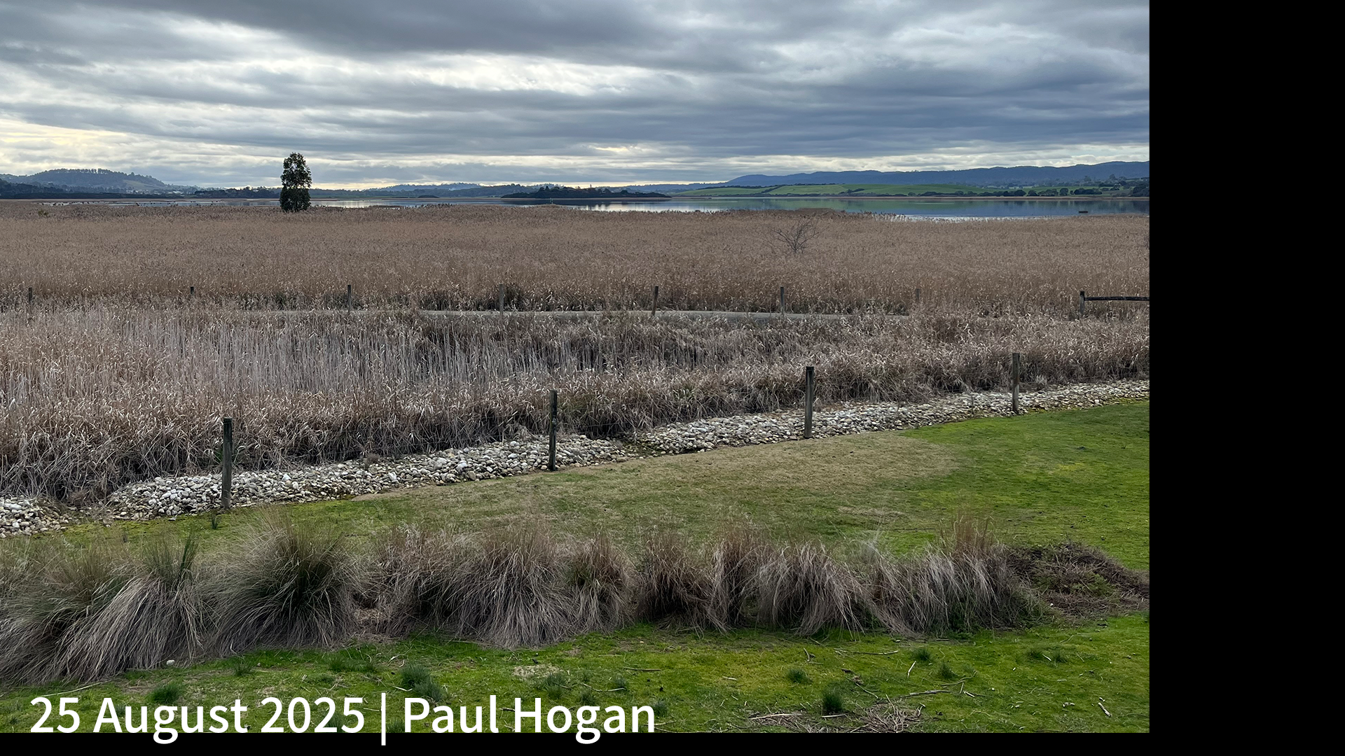 25 August 2025 _ Paul Hogan_.png