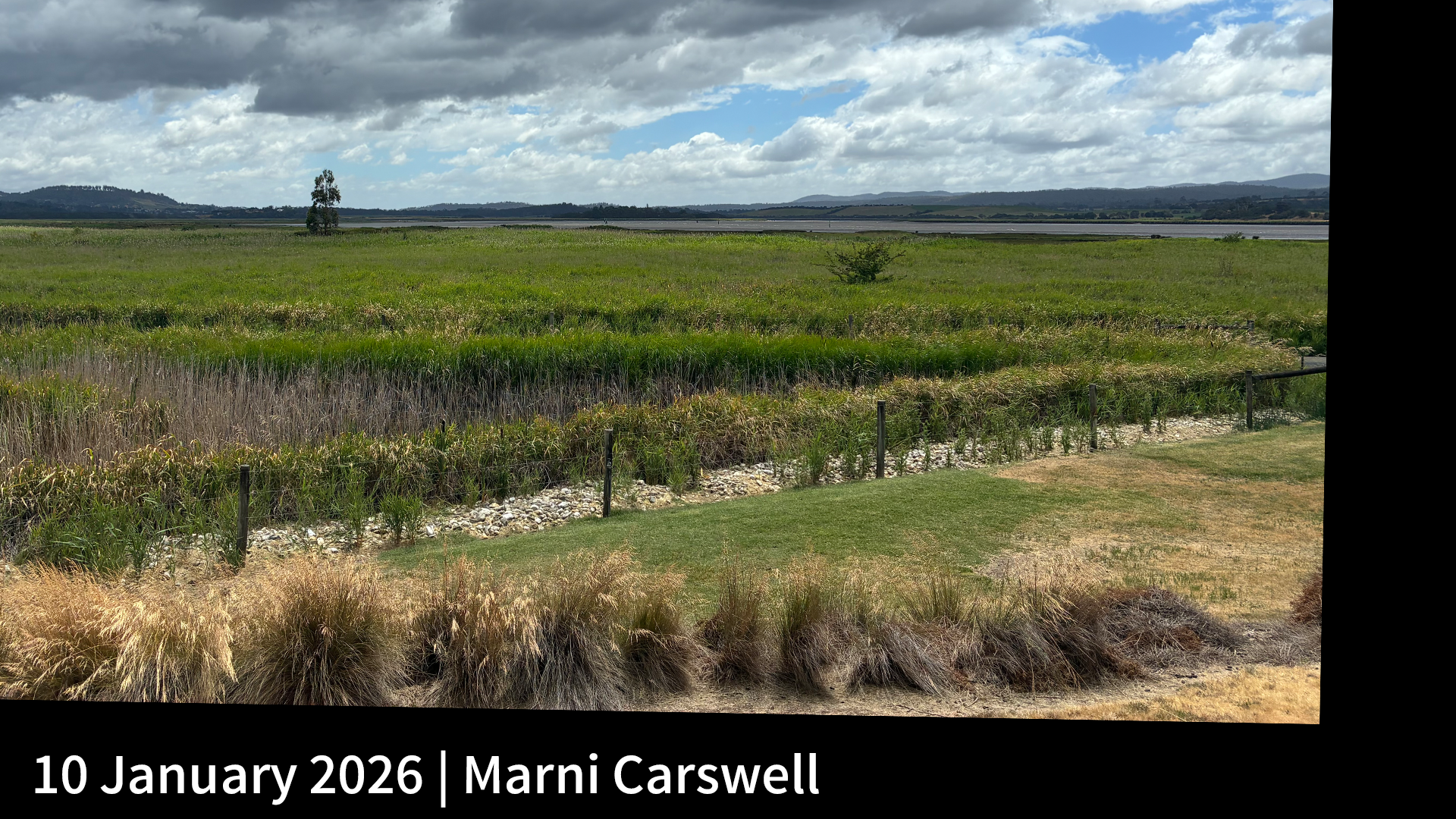 10 January 2026 _ Marni Carswell_.png