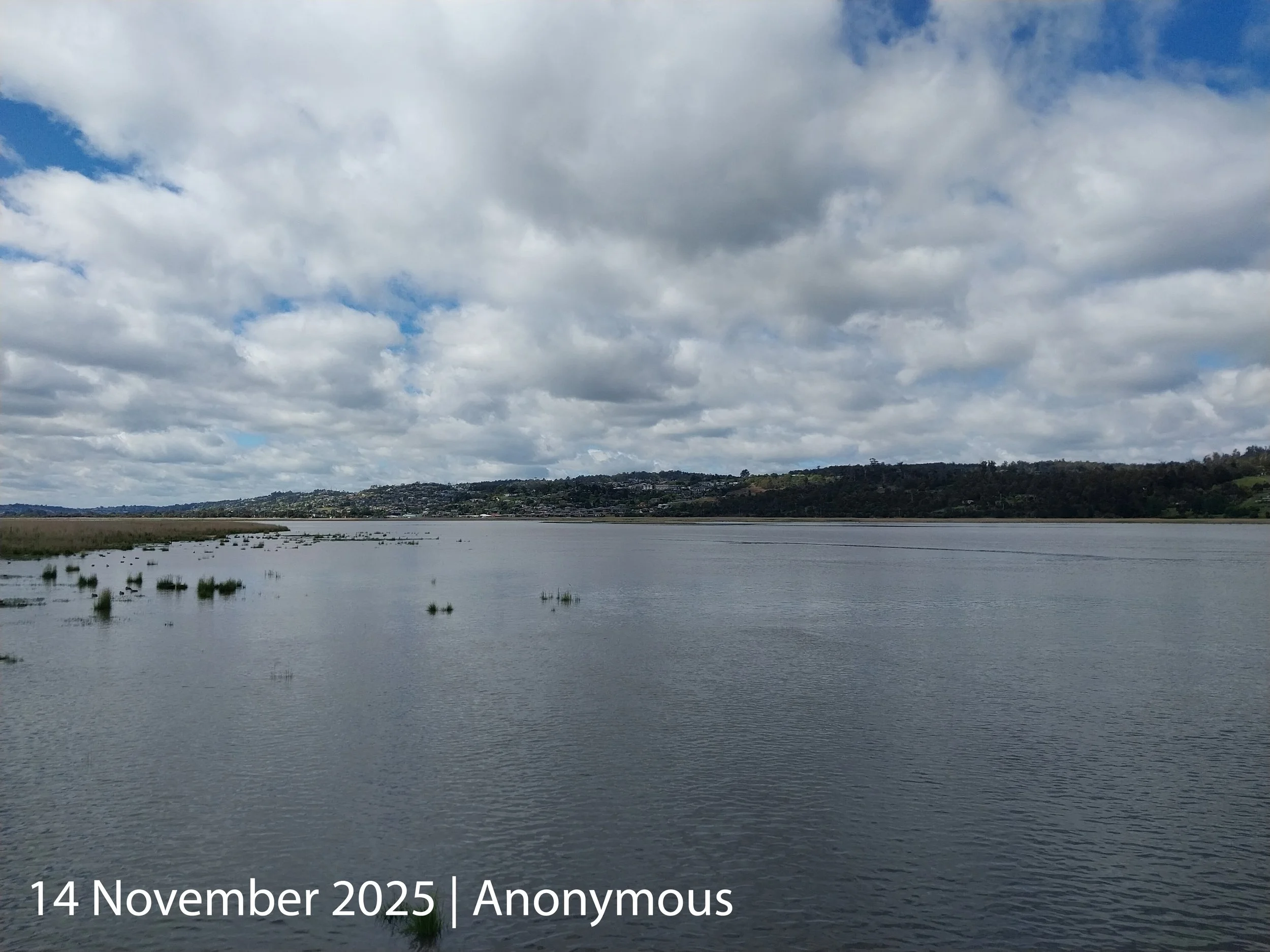 20251114_100346_captioned.jpg
