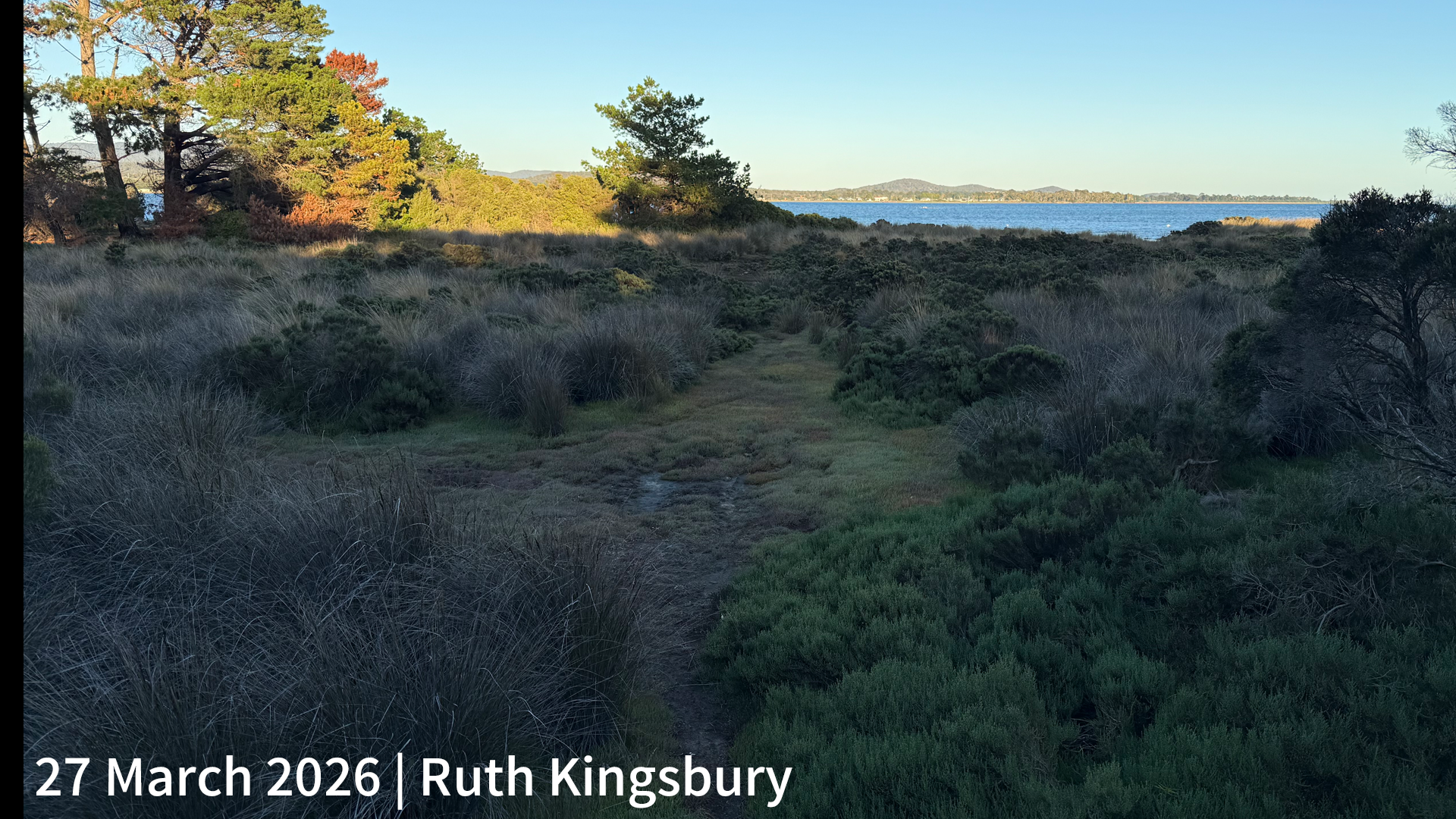 27 March 2026 _ Ruth Kingsbury.png