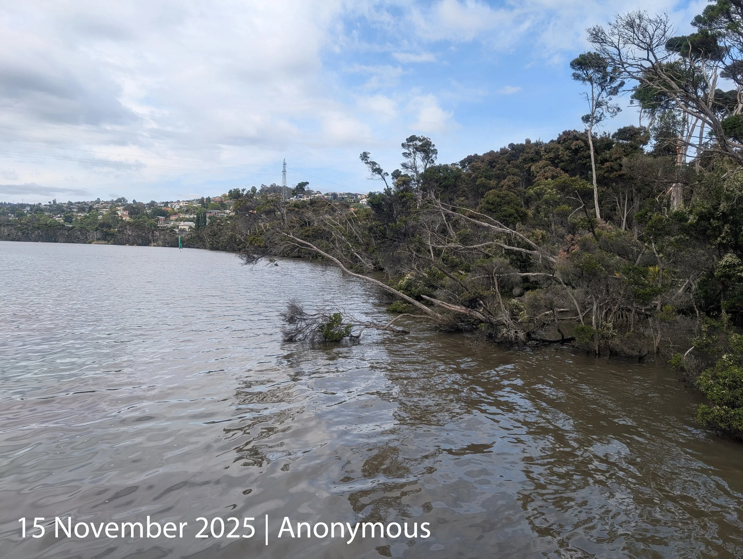 PXL_20251114_233548643.MP_captioned.jpg