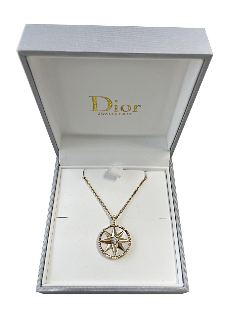 Christian Dior Rose de Vents Long Necklace