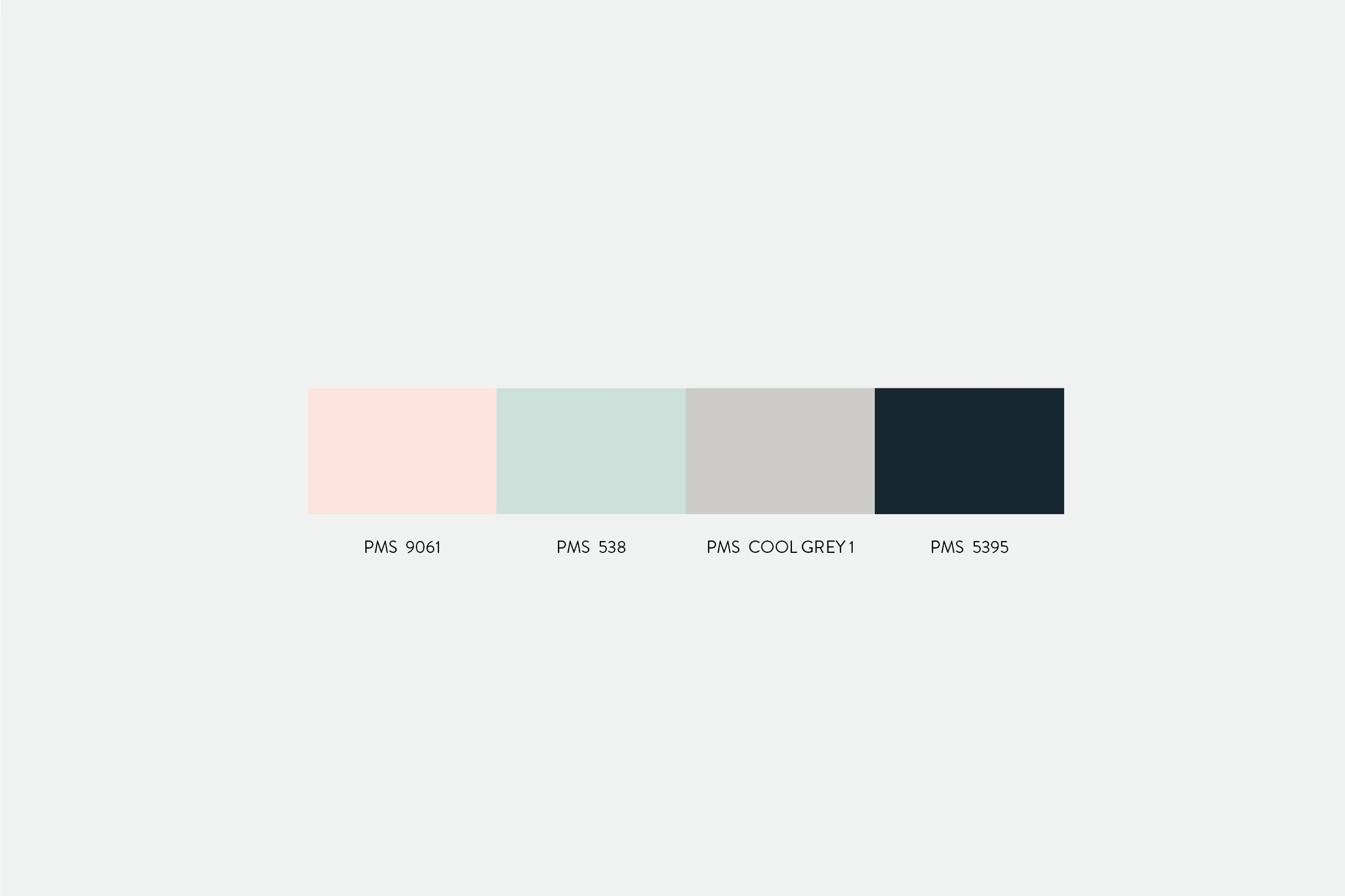 JuicyDesign-Projecthero-2500x1666-InteriorBranding-FreshCollective-Rebrand-03.jpg