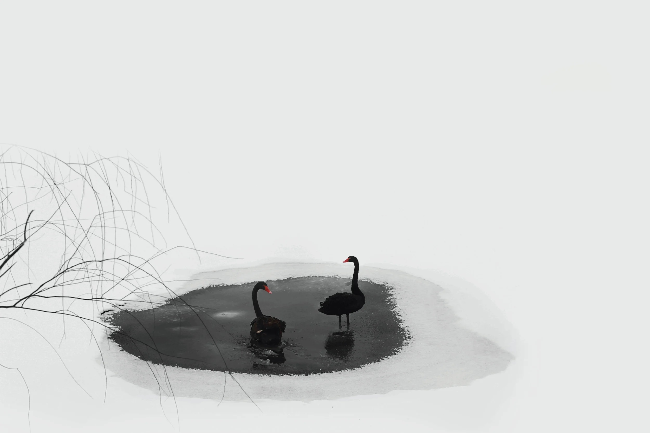 JuicyDesign-Projecthero-2500x1666-InteriorBranding-Blackswan-China-09.jpg
