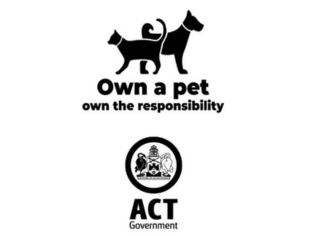 Domestic Animal Services