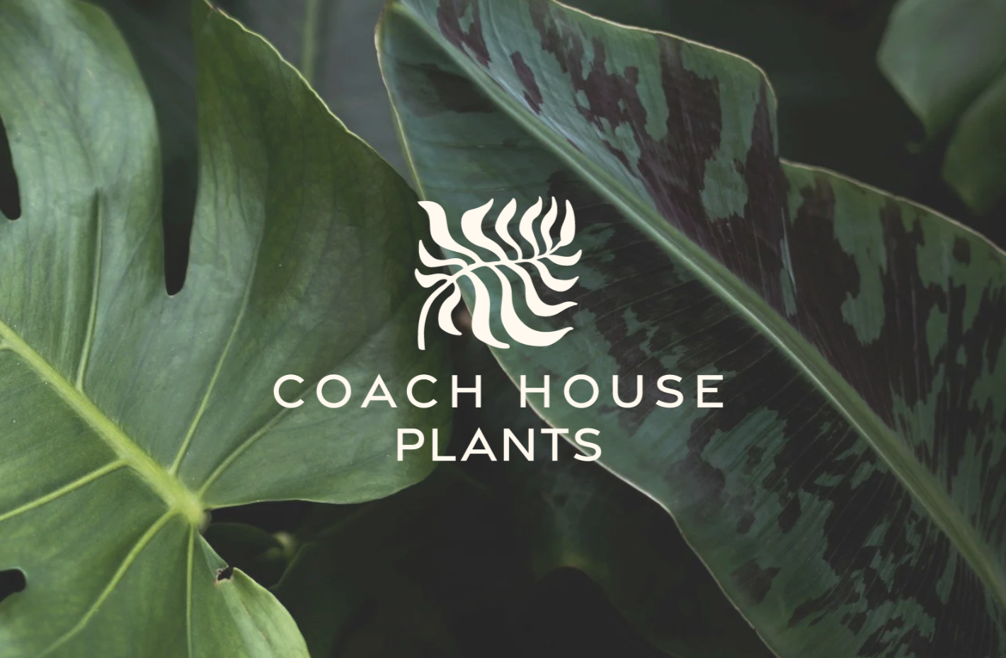 Coach House Plants | Logo + Merch