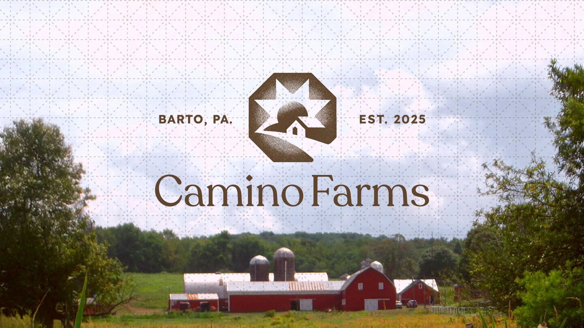 Camino Farms | Branding