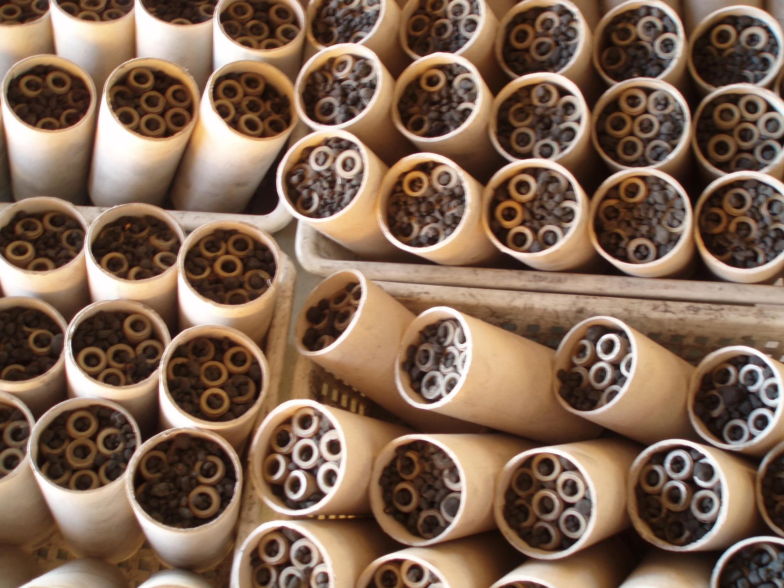 Qualität Bomben.JPG