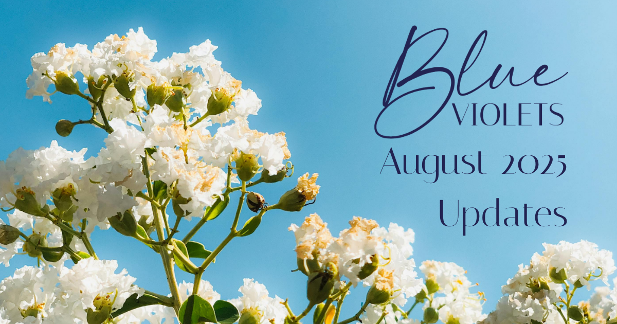 August 2025 Store Updates