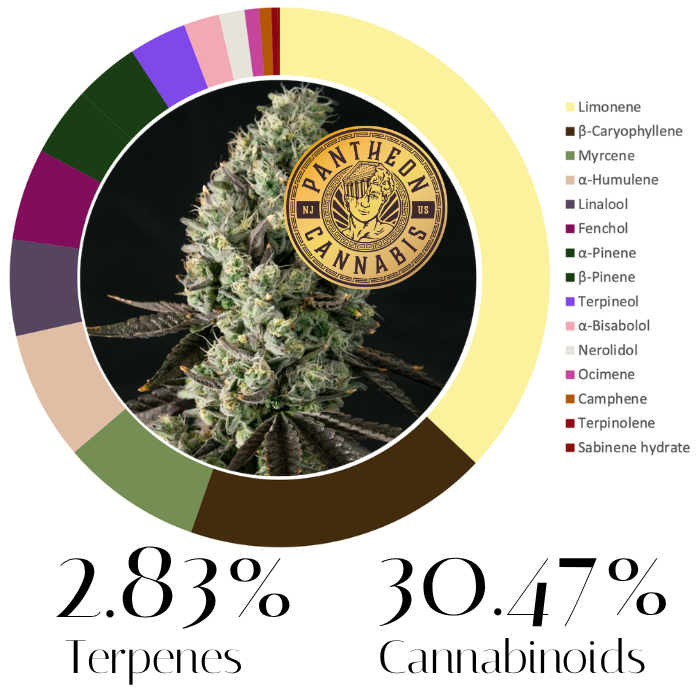 gorilla zkittles pantheon flower june 2026.png