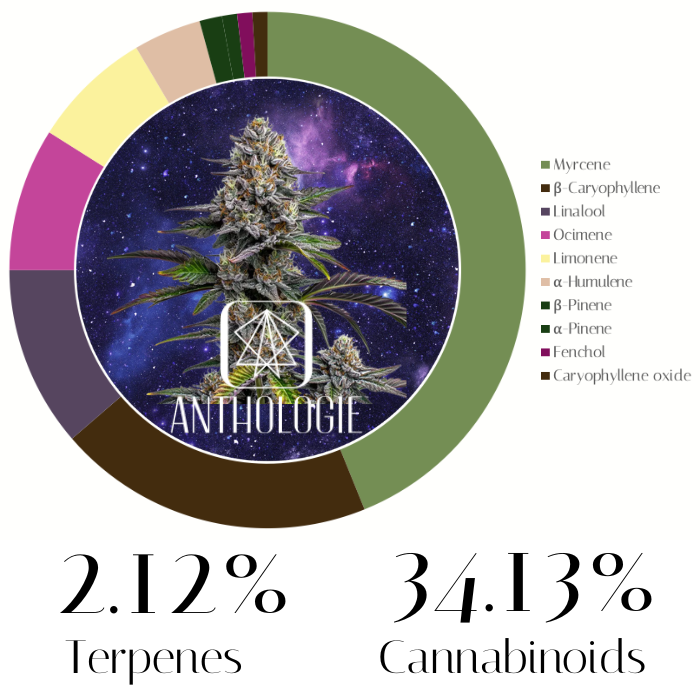 Blue Dream strain profile with terpene information 