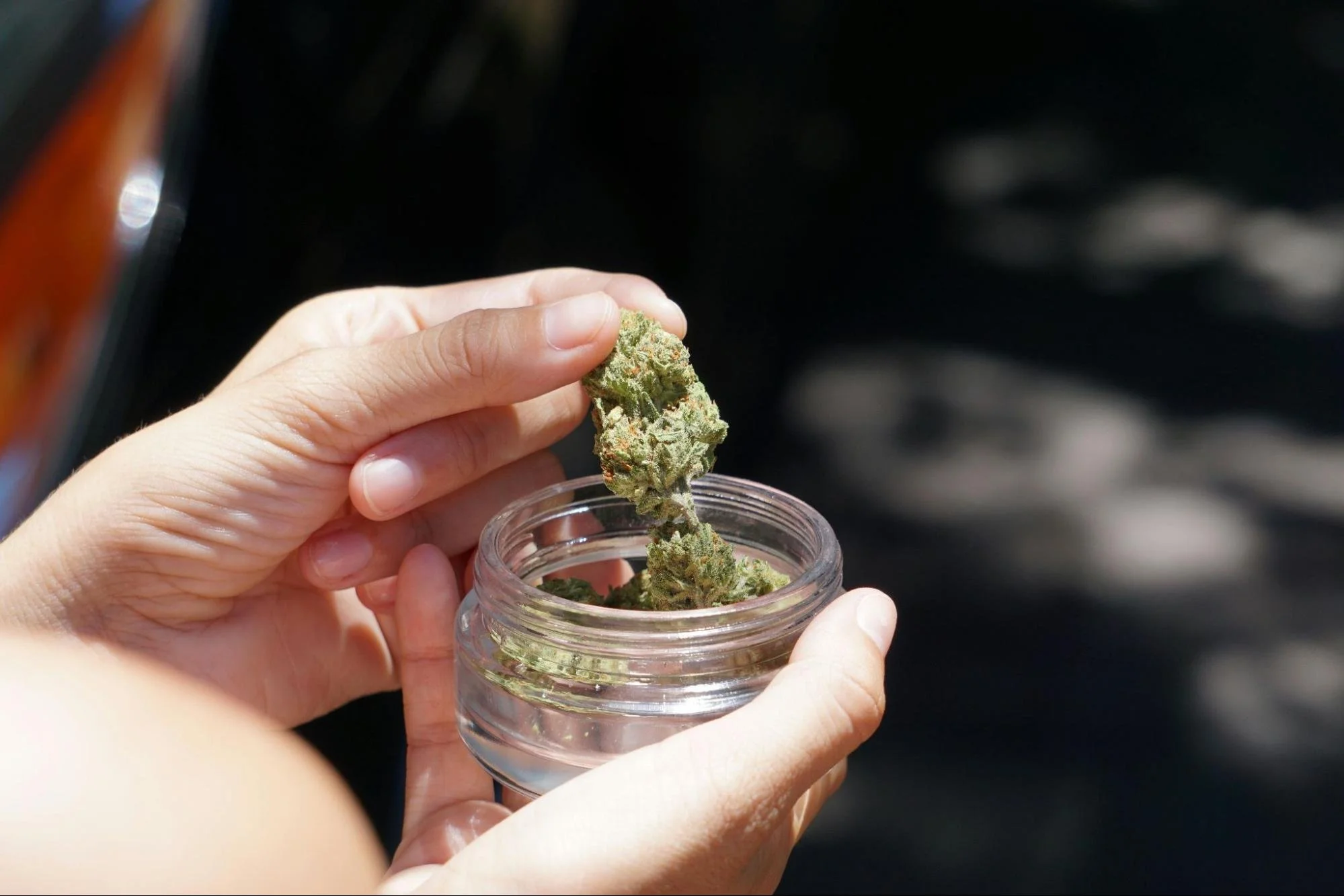 A person holding cannabis over a glass jar. Source - Pexels