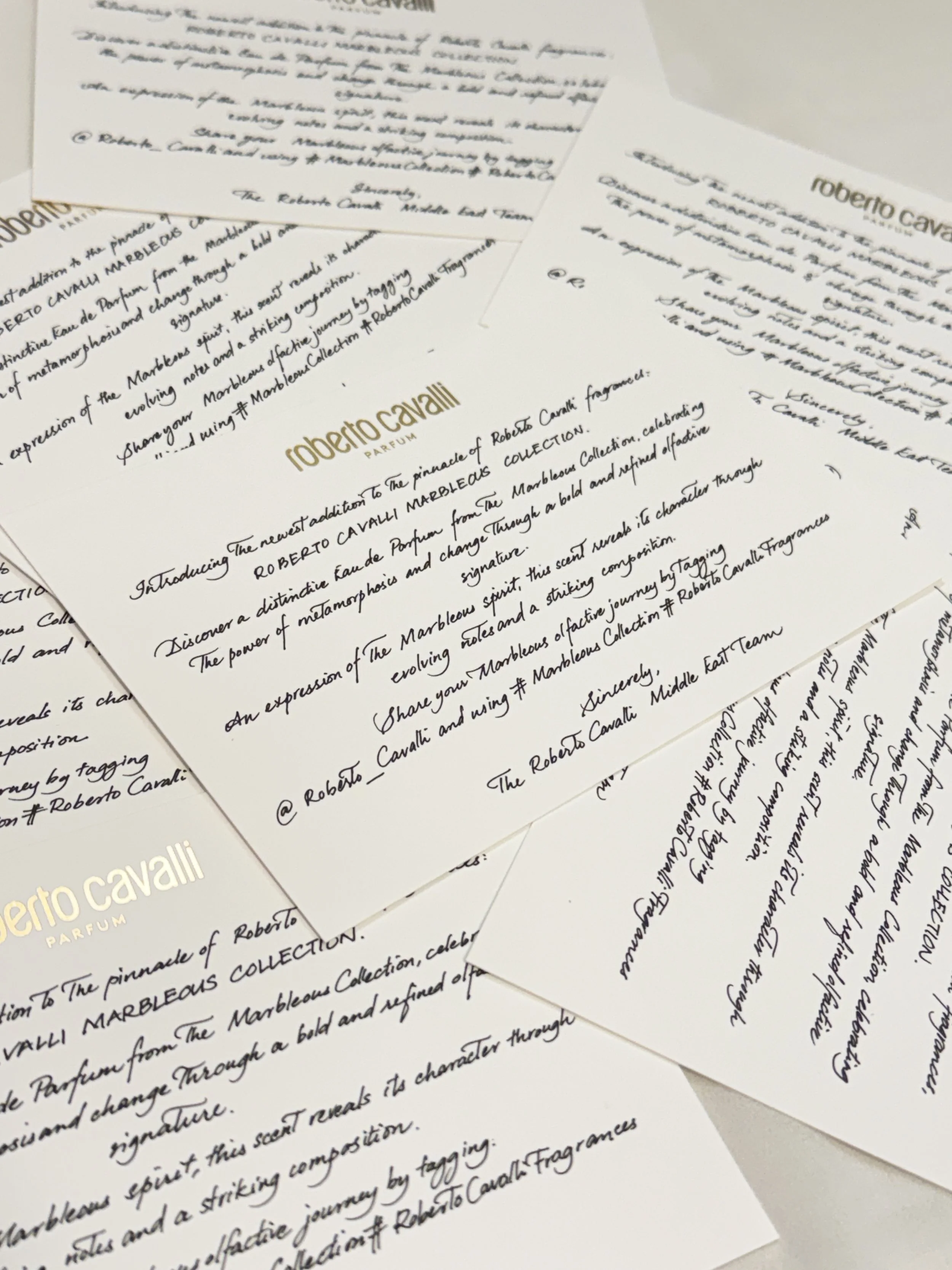 Several sheets of paper with printed and handwritten text about Roberto Cavalli, overlapping each other, on a light background.