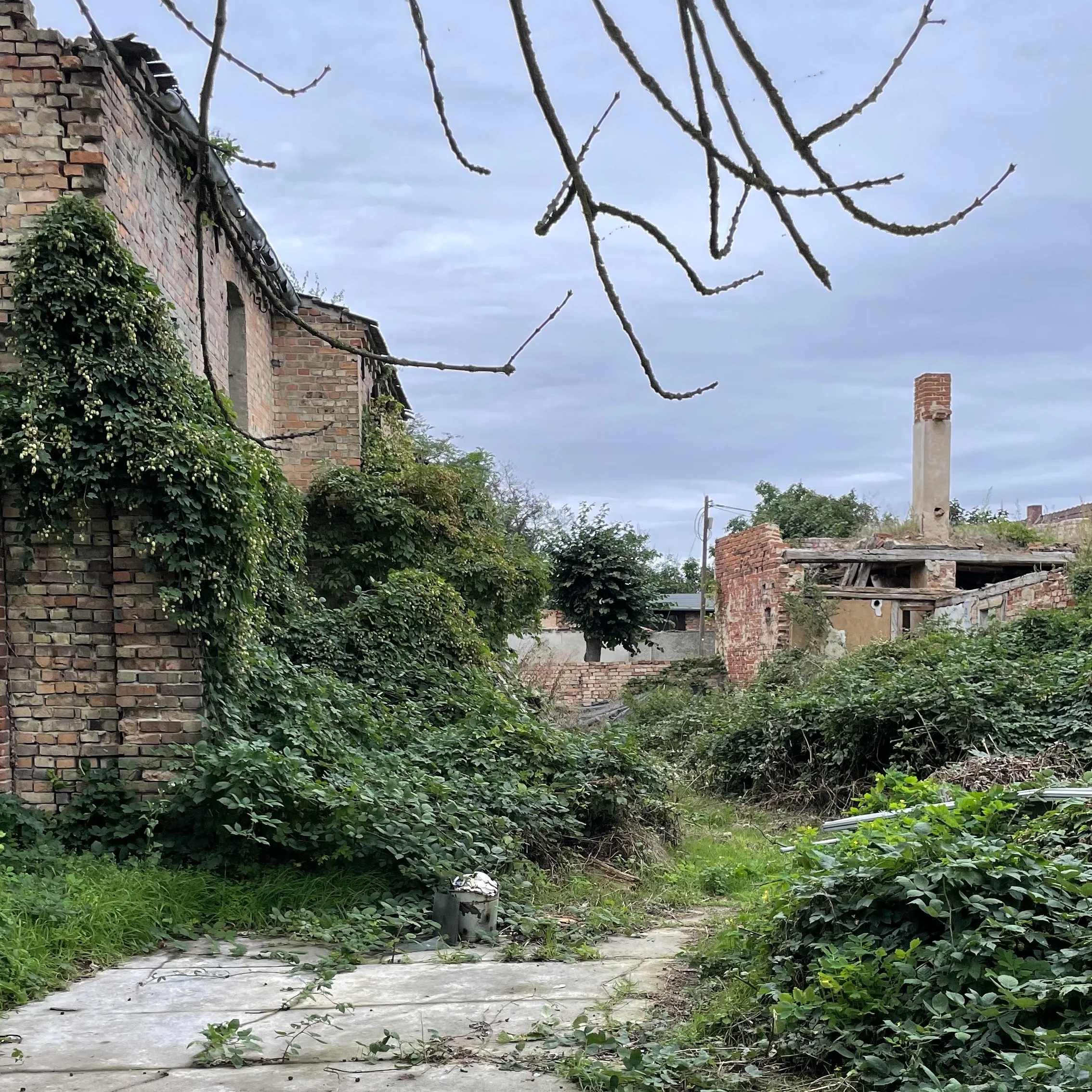 A HOUSE MADE OF STRAW BALES AND BRICKS, SACHSEN-ANHALT (PLANNING IN PROGRESS)