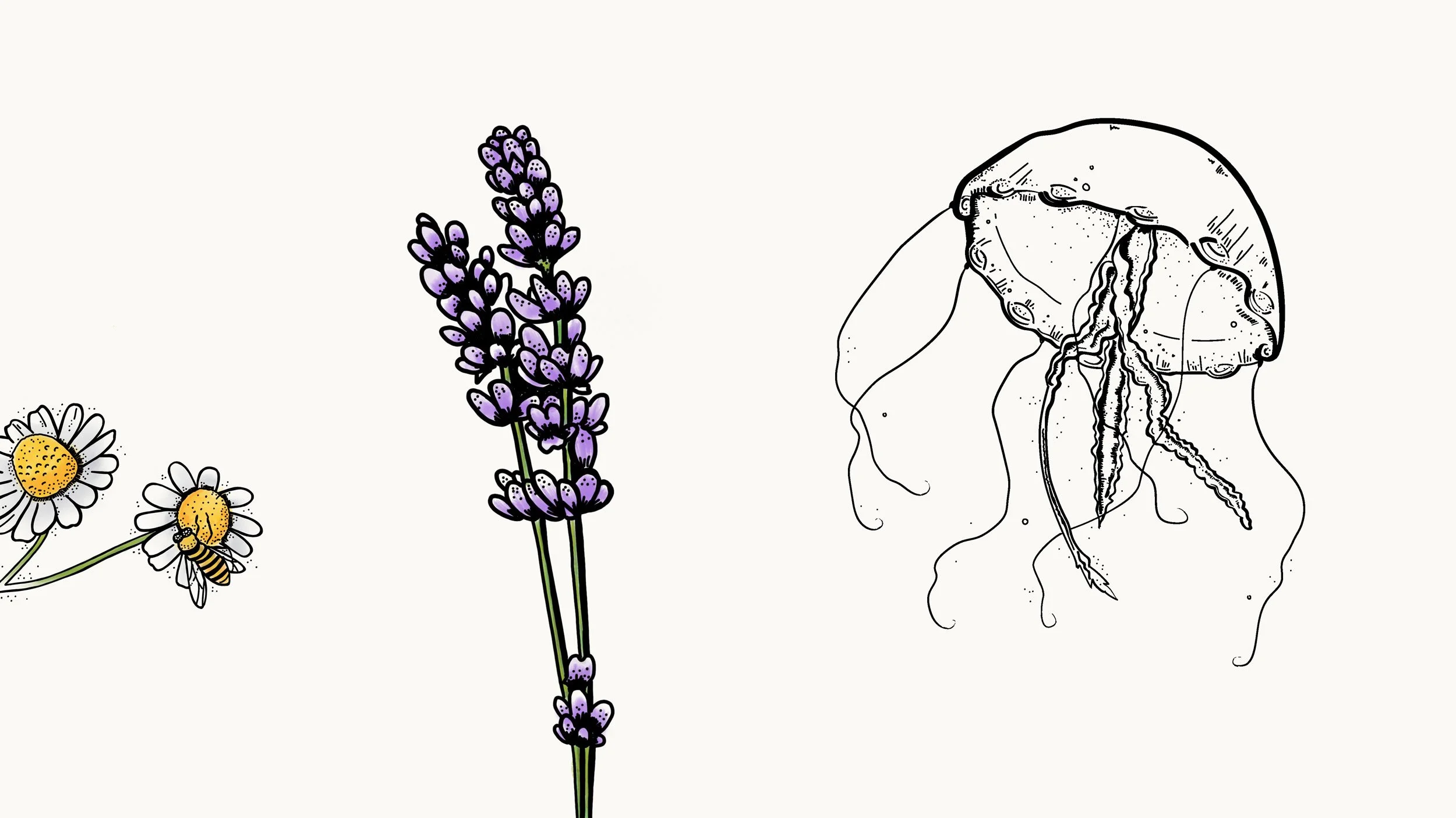 illustrationen-12.jpg