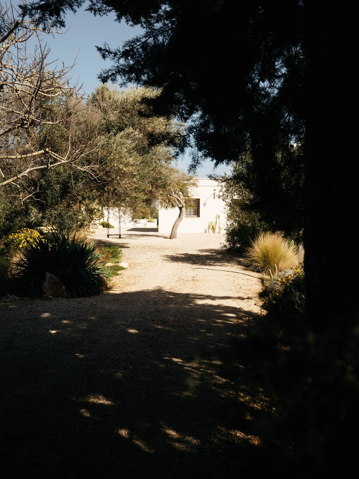 pietro_favaron-0486.jpg